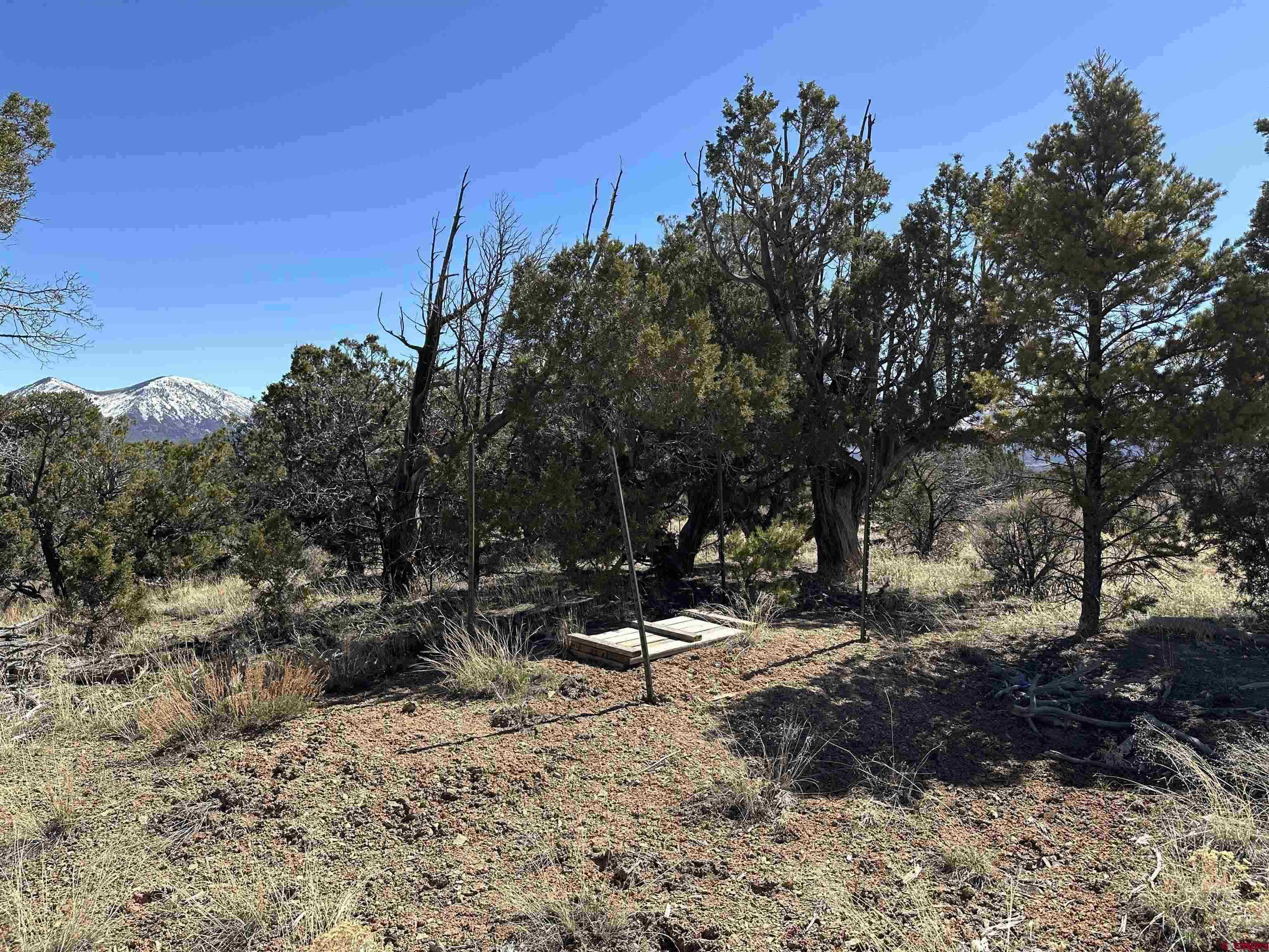 38.06 Tbd Property Photo 15