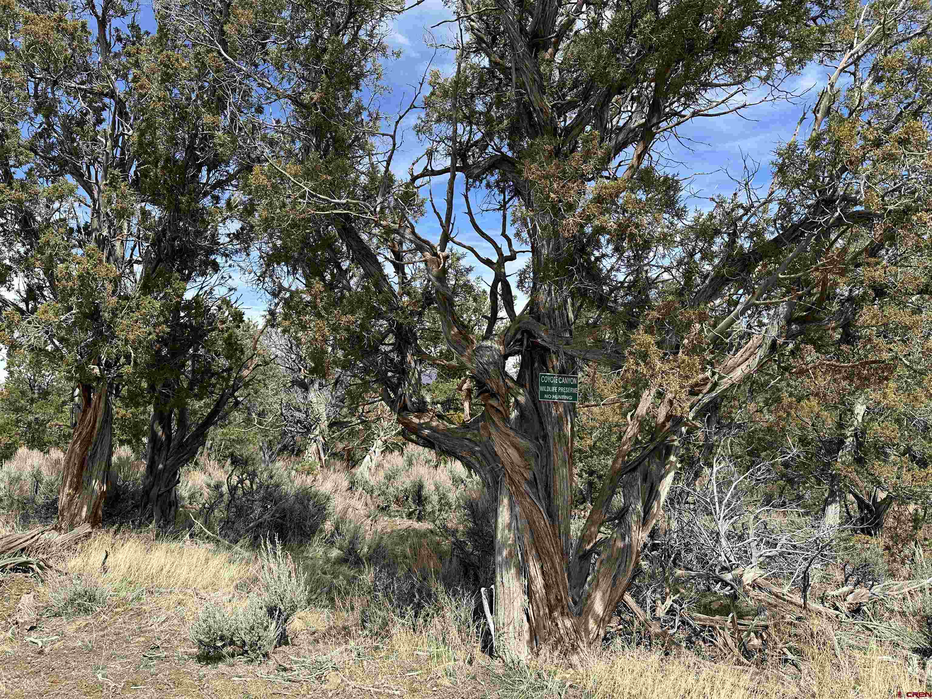 38.06 Tbd Property Photo 32