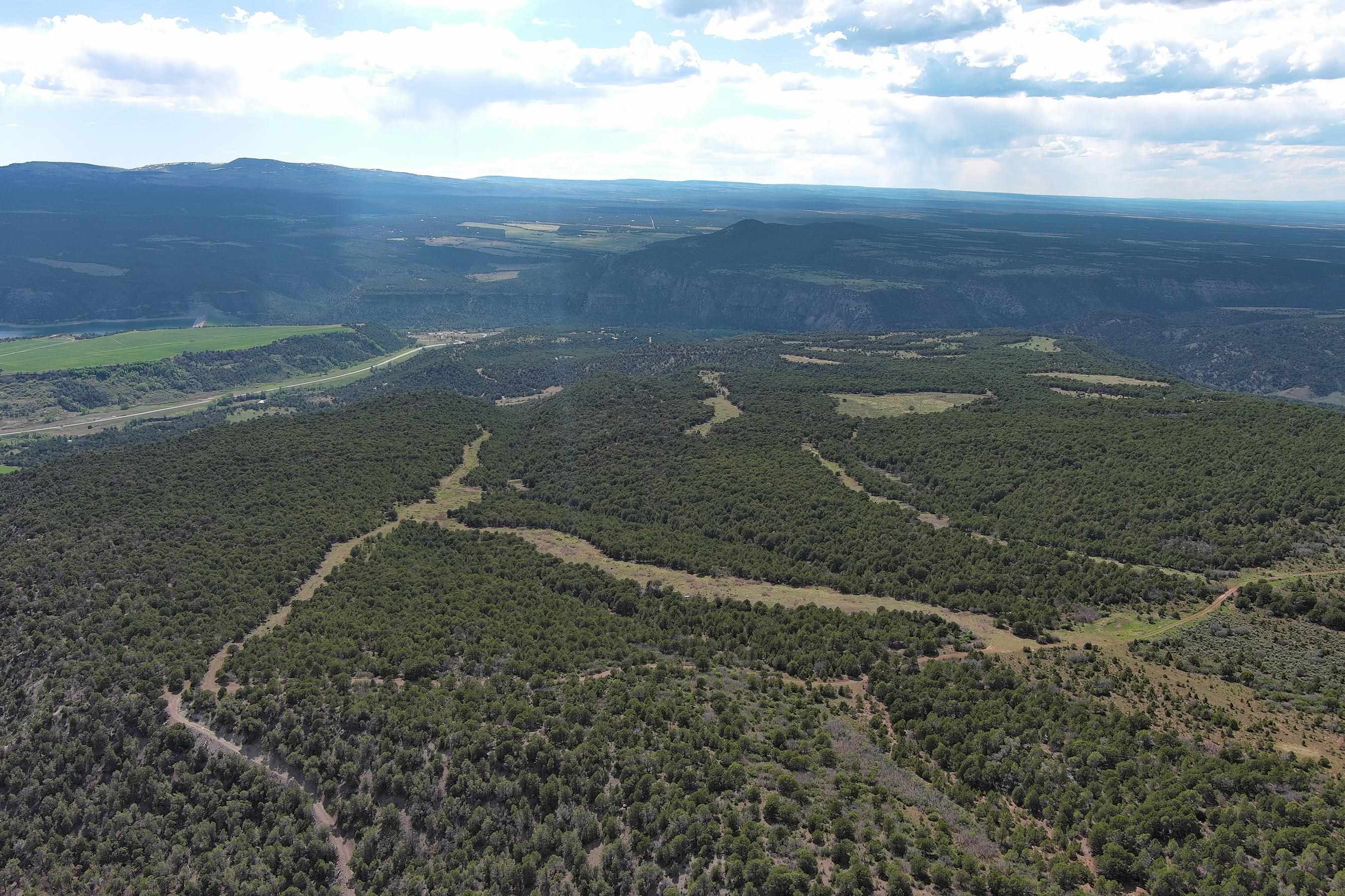 Tbd County Road 4 Property Photo 2