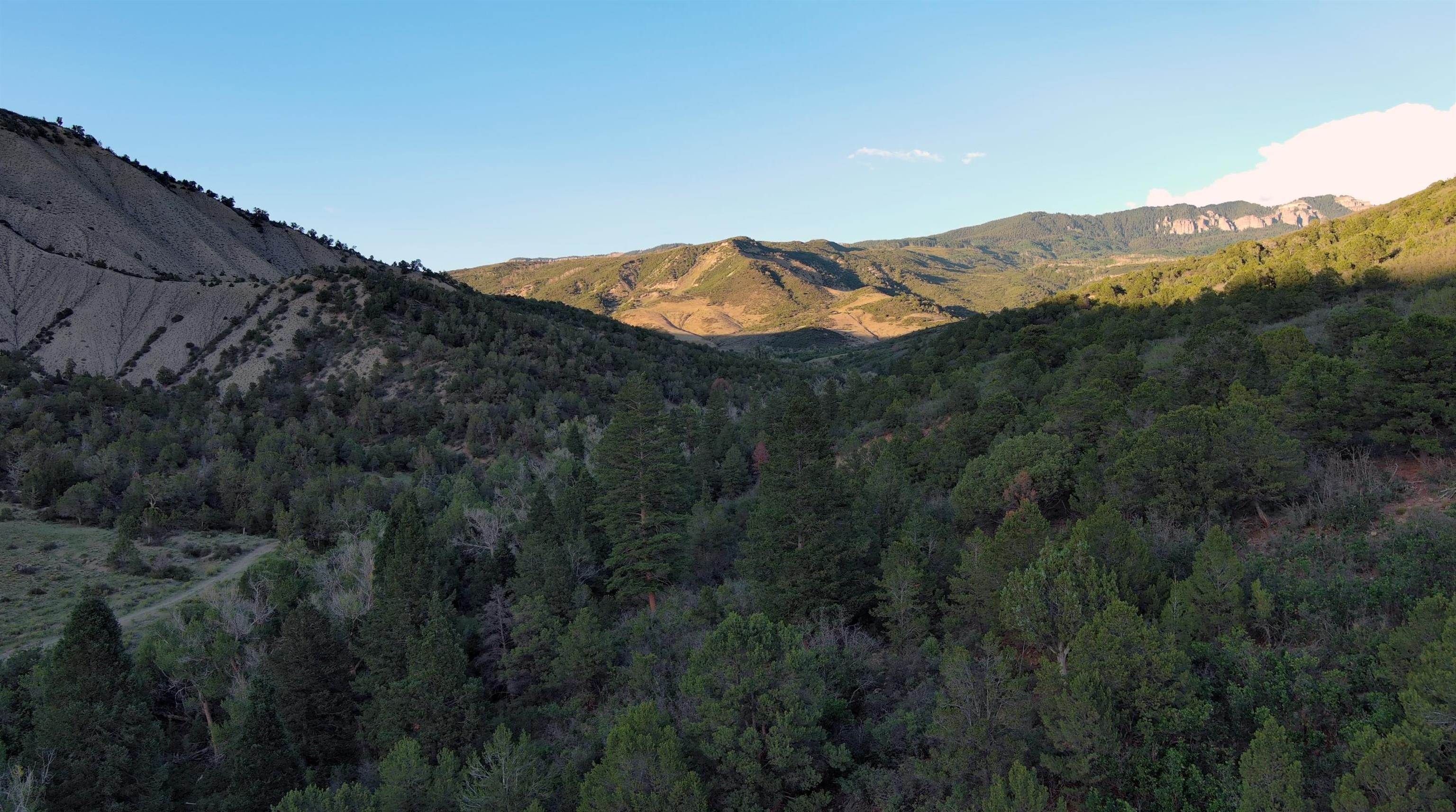 Tbd County Road 4 Property Photo 9