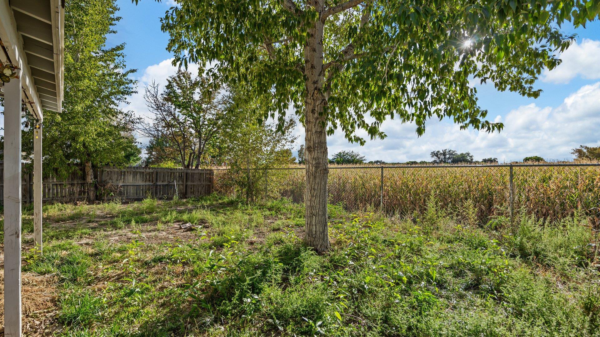 479 Gentle Winds Court Property Photo 24