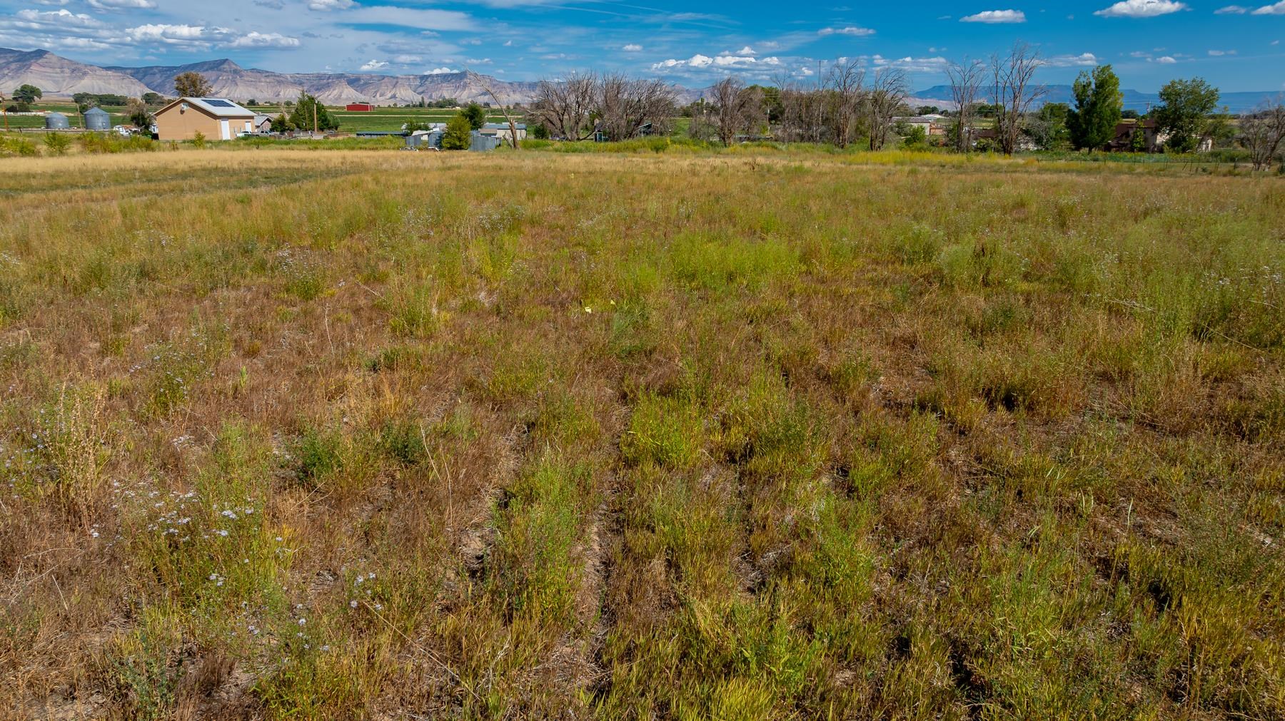 1403 19 Road Property Photo 16