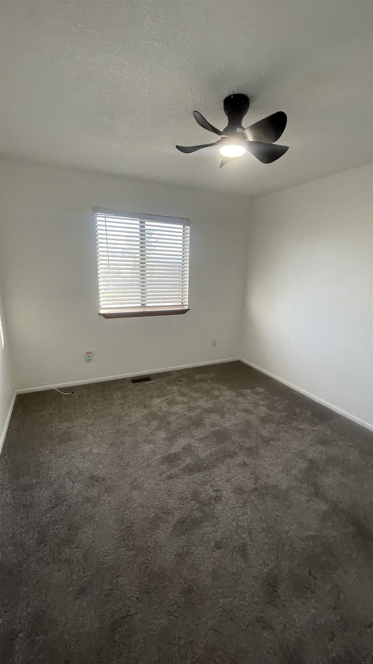 3374 G Road Property Photo 16