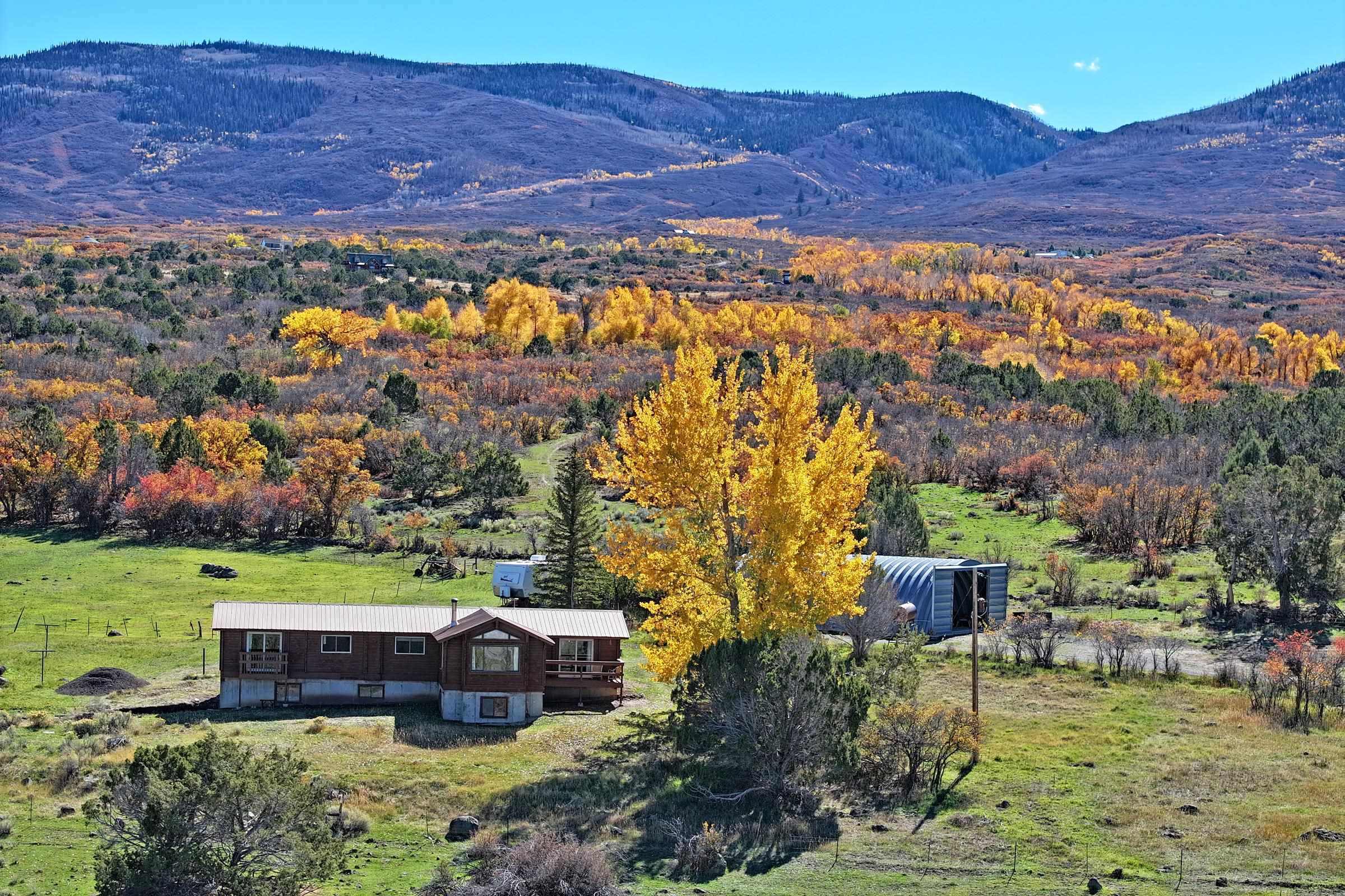 9564 52 1/2 Road Property Photo 1