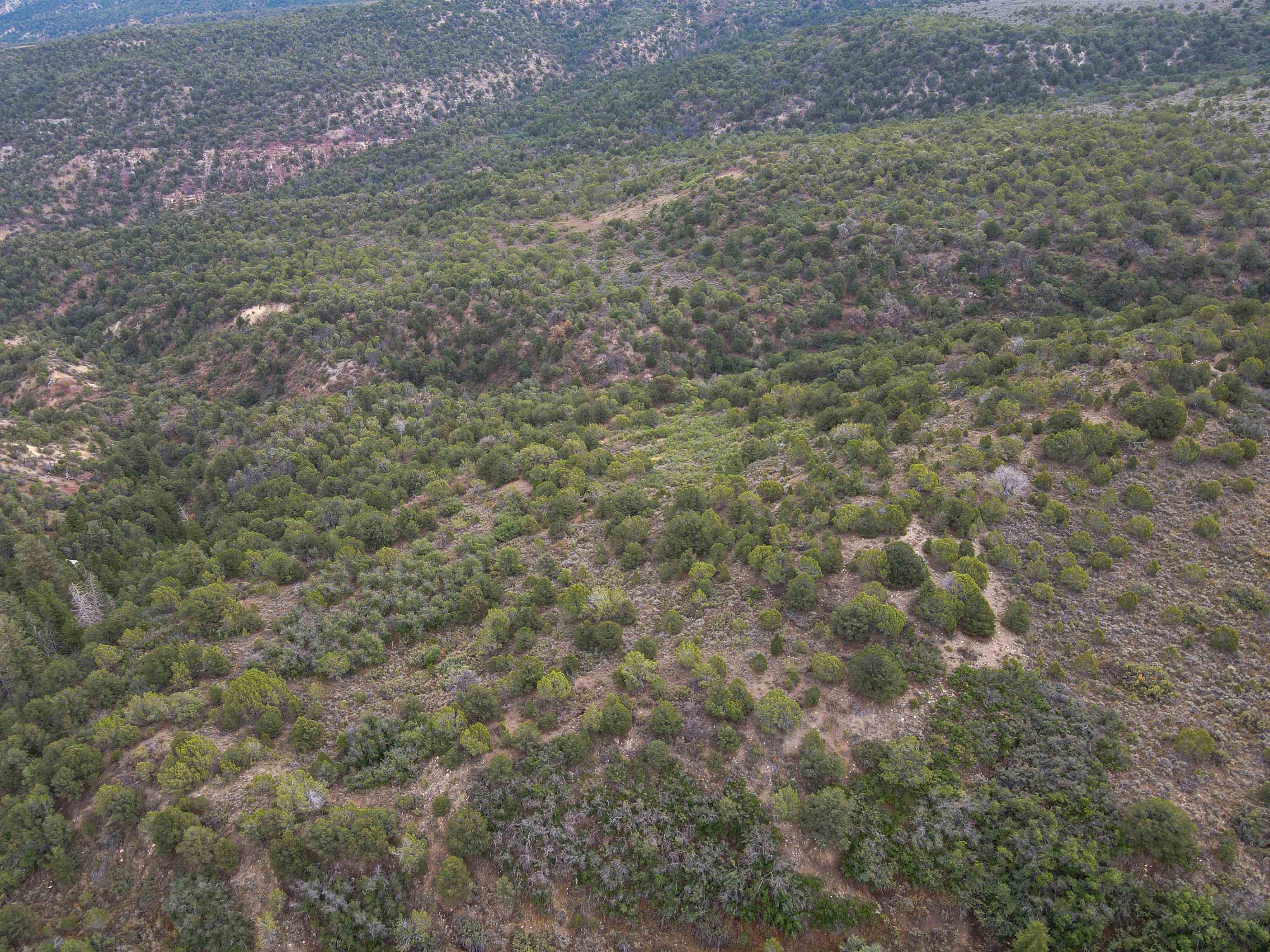000 X 1/2 Road Property Photo 8