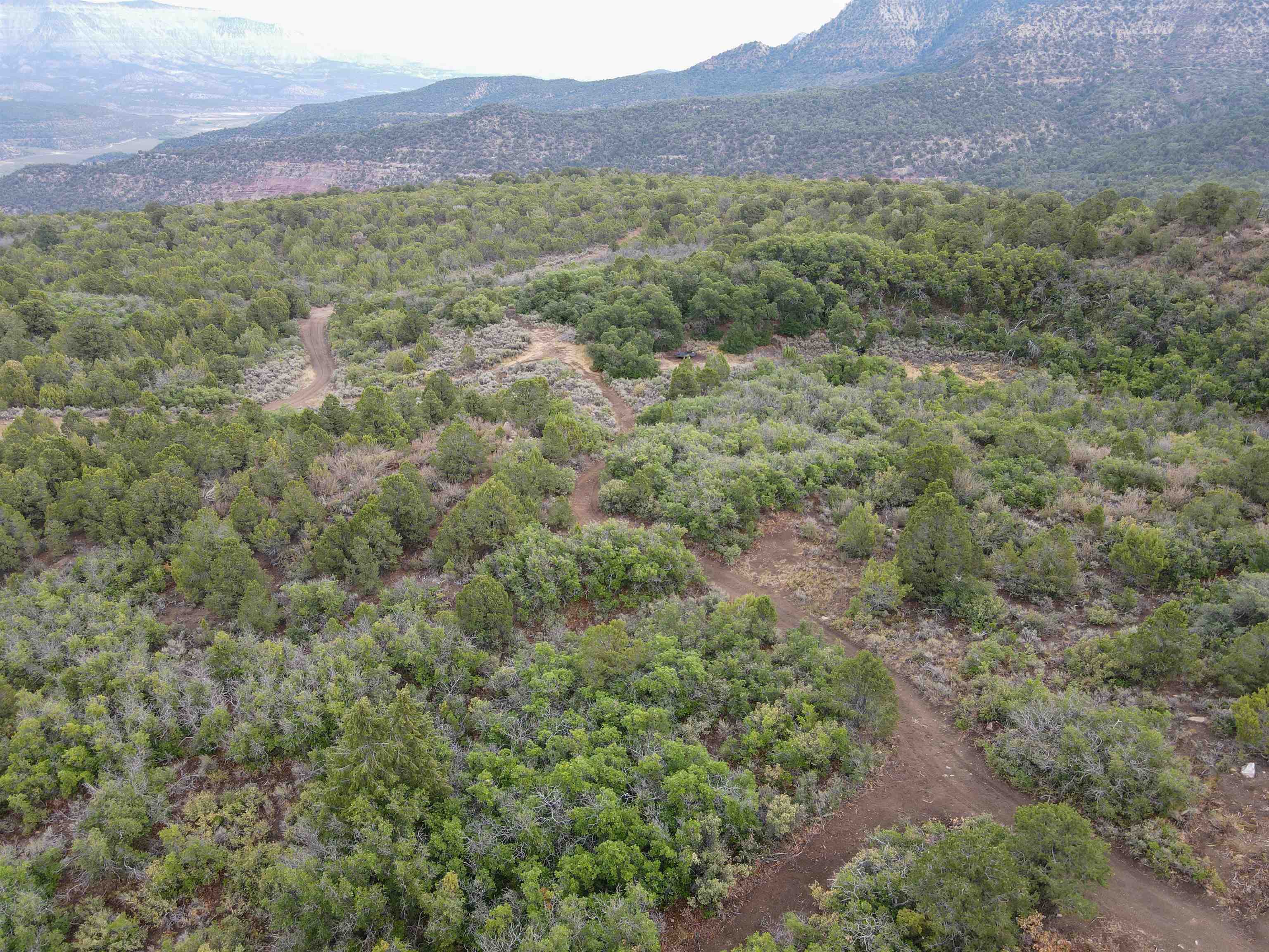 000 X 1/2 Road Property Photo 39