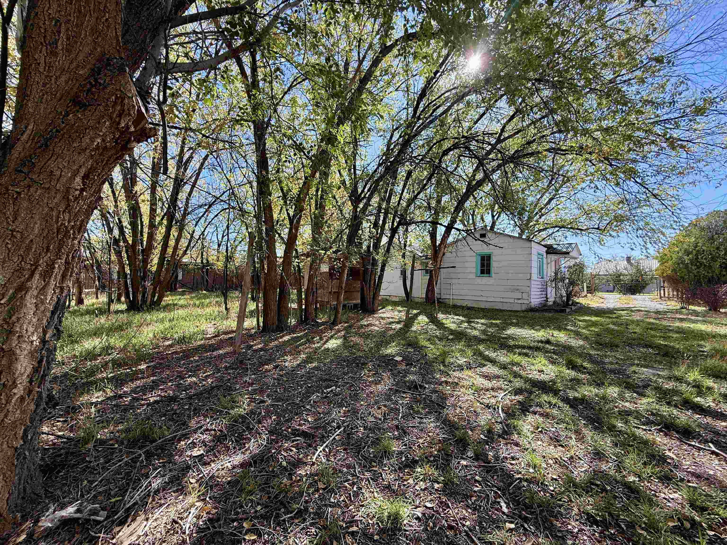 1102 Santa Clara Avenue Property Photo 4