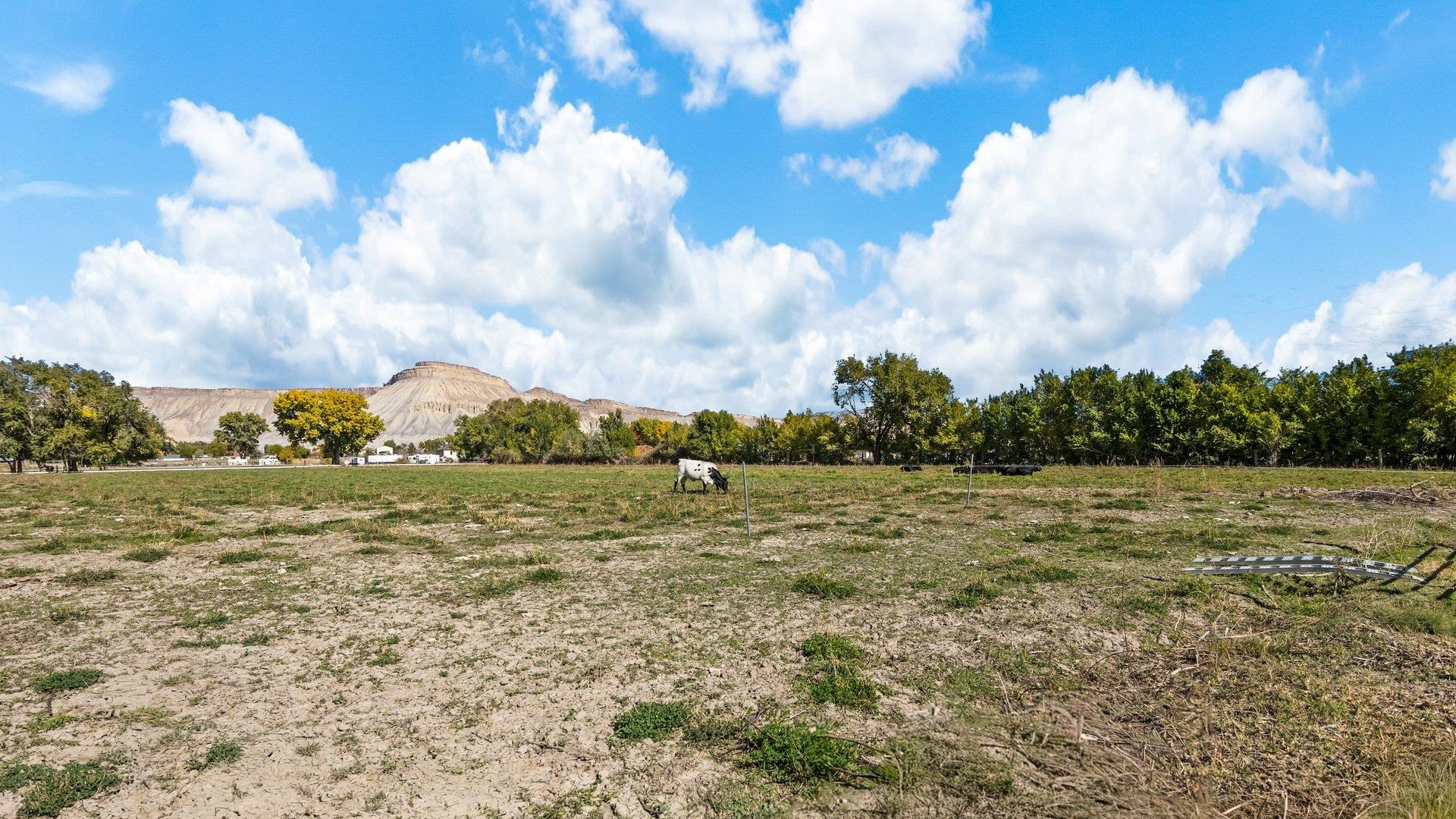 3364 E 1/4 Road Property Photo 33