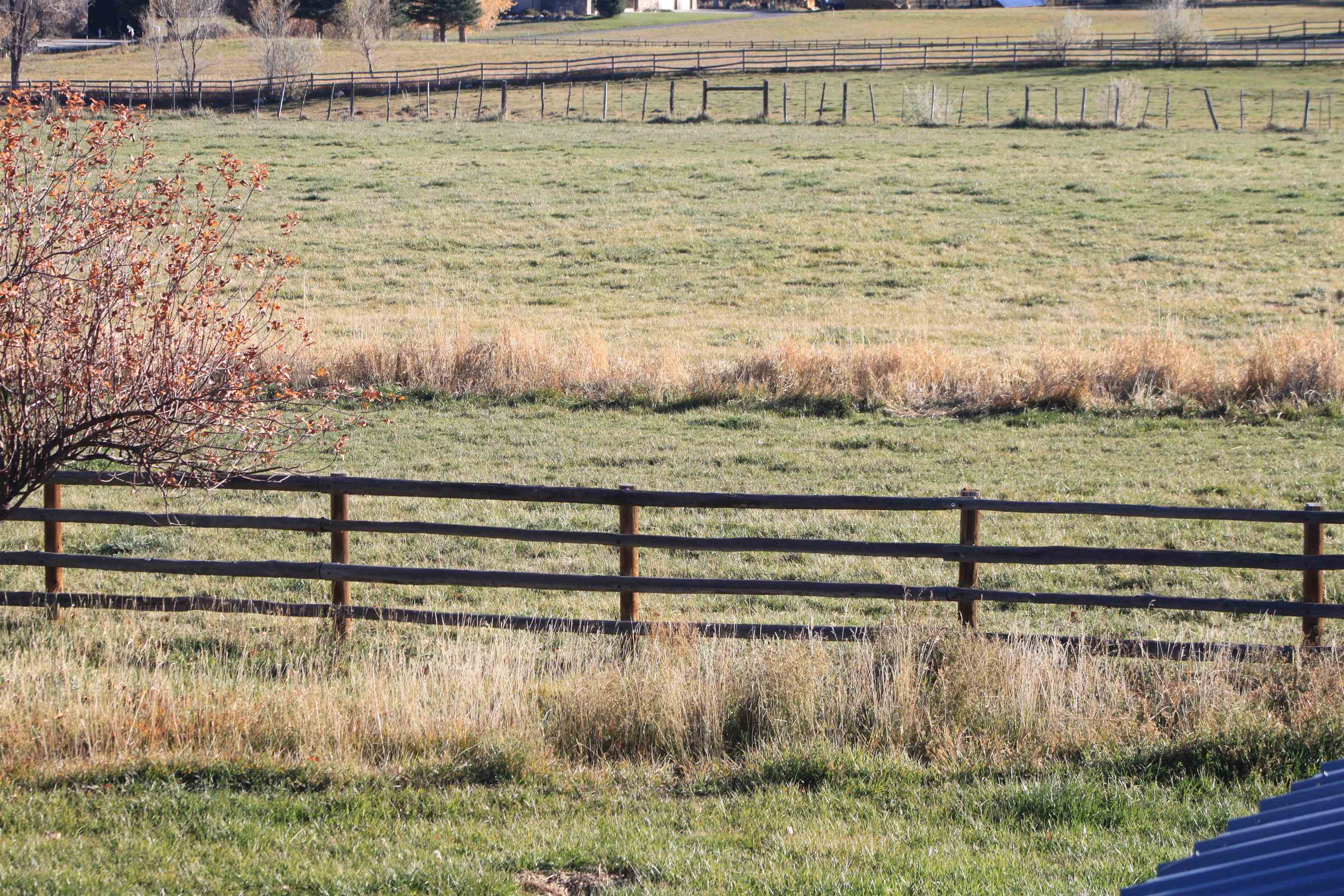49594 Ke Road Property Photo 4