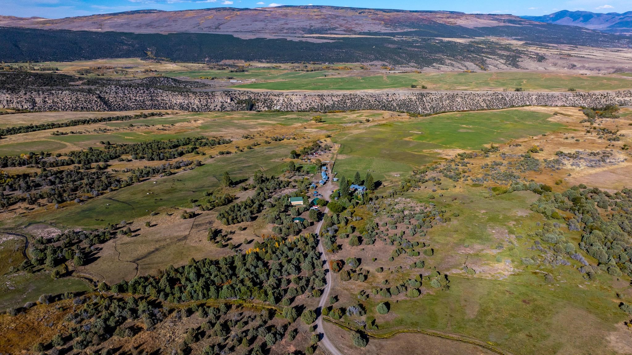12590 Derby Mesa Loop Property Photo 39