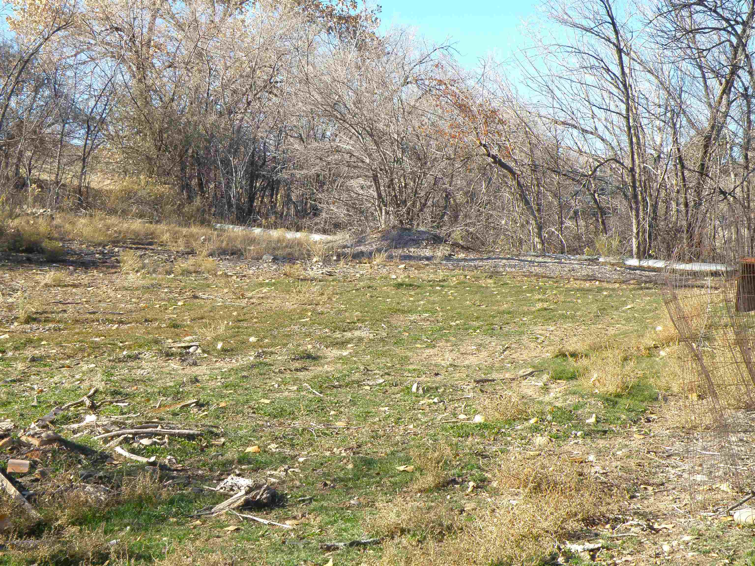 2449 Broadway Property Photo 5