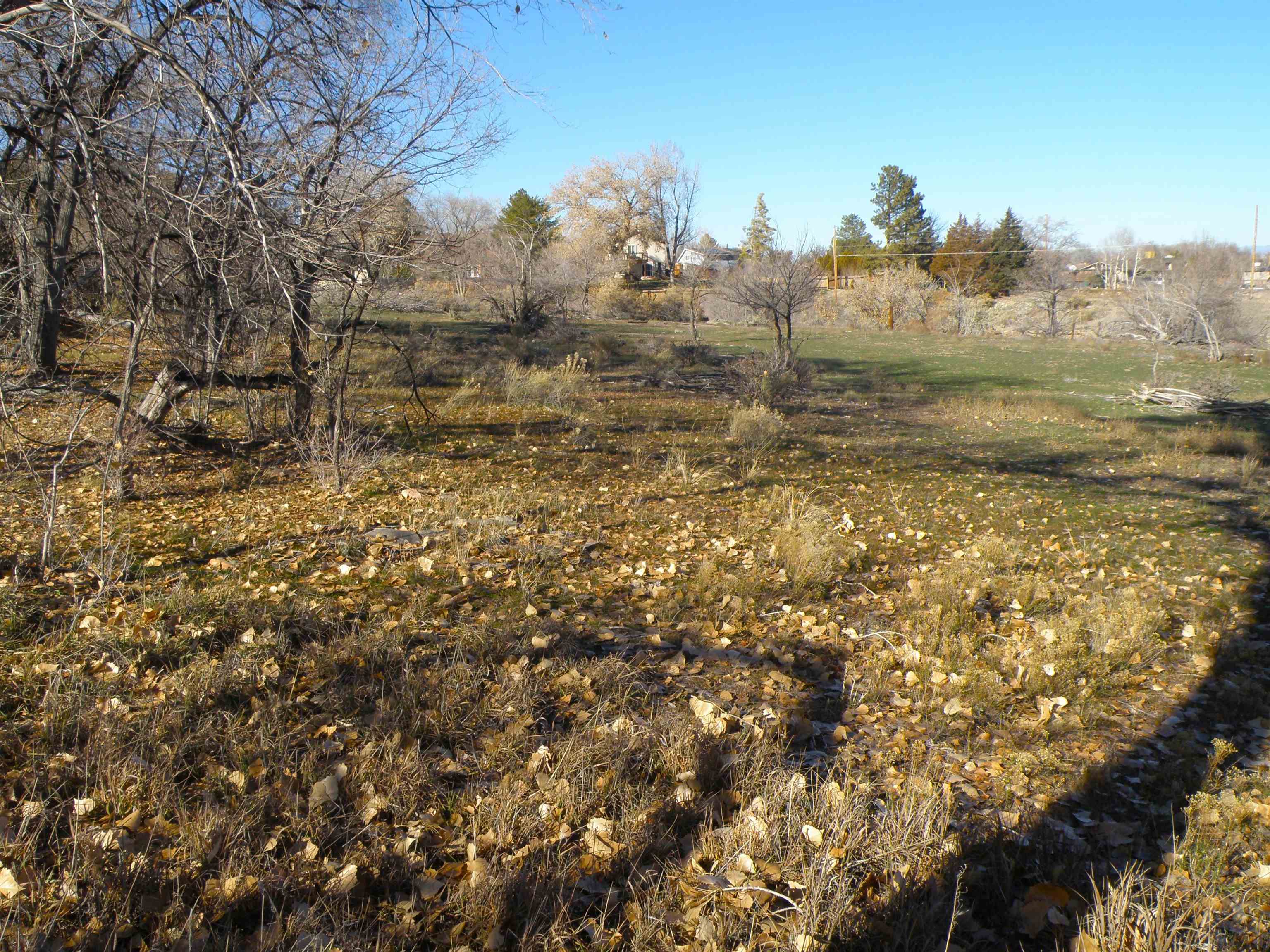 2449 Broadway Property Photo 6