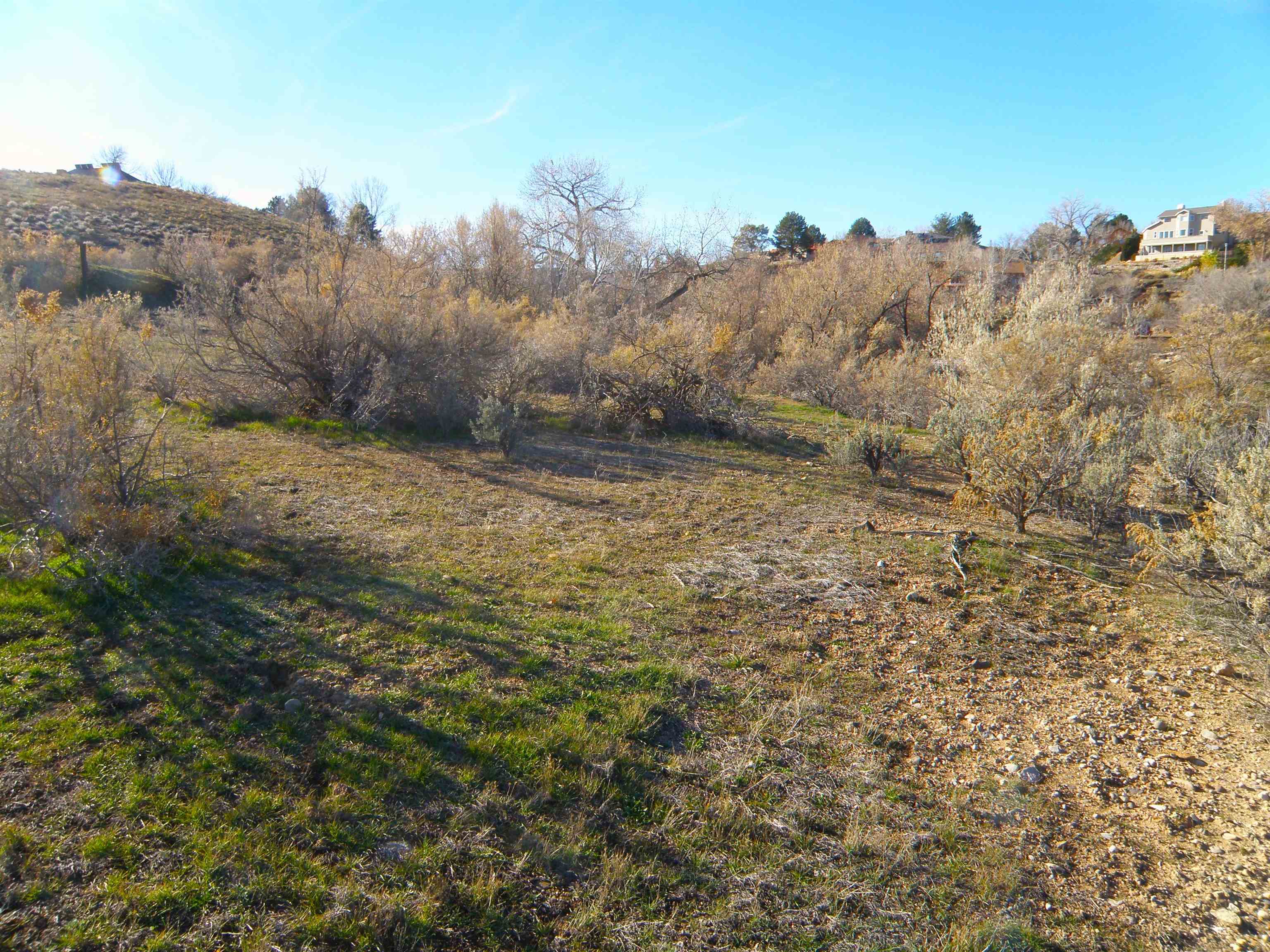 2449 Broadway Property Photo 7