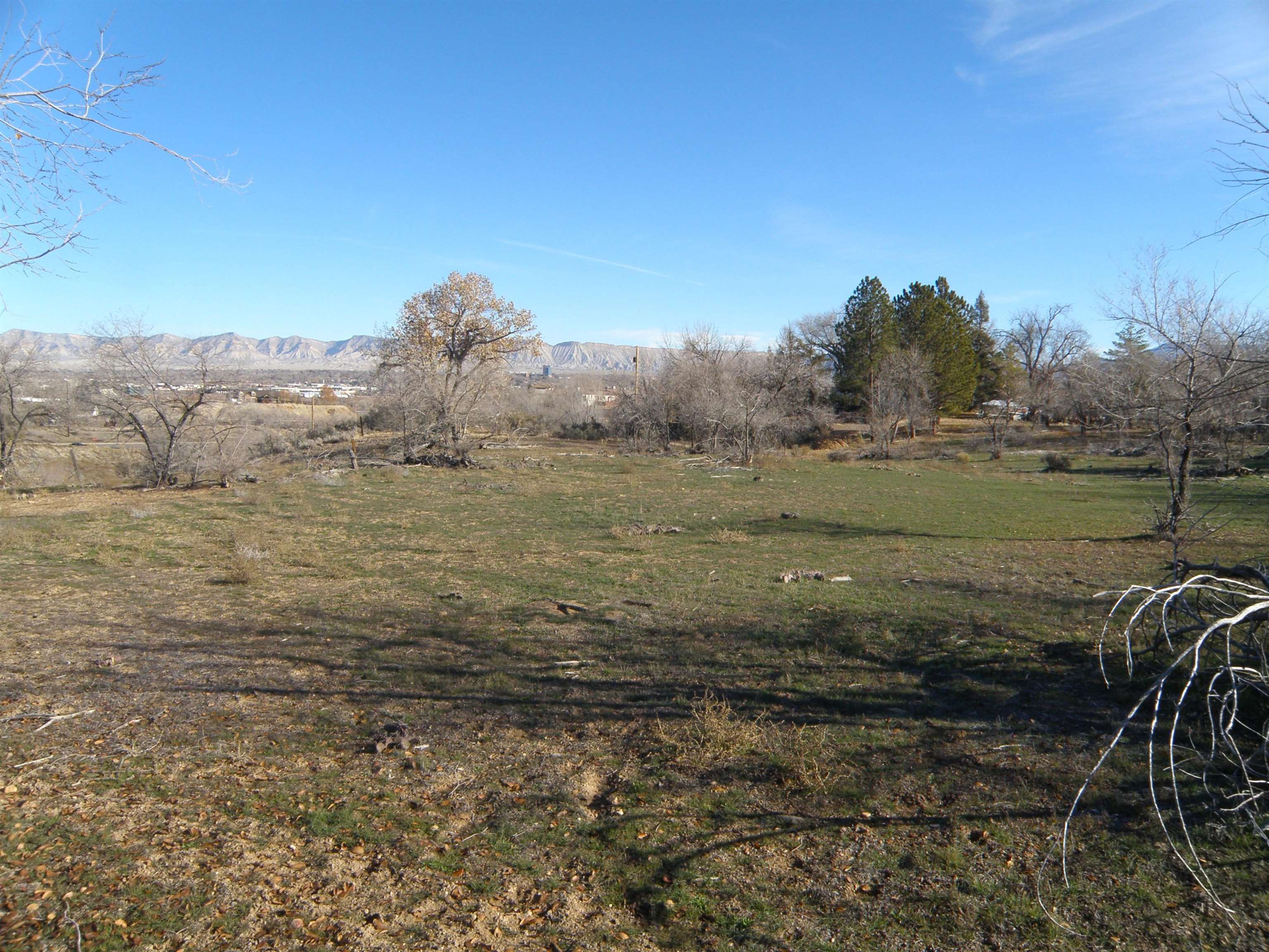 2449 Broadway Property Photo 8