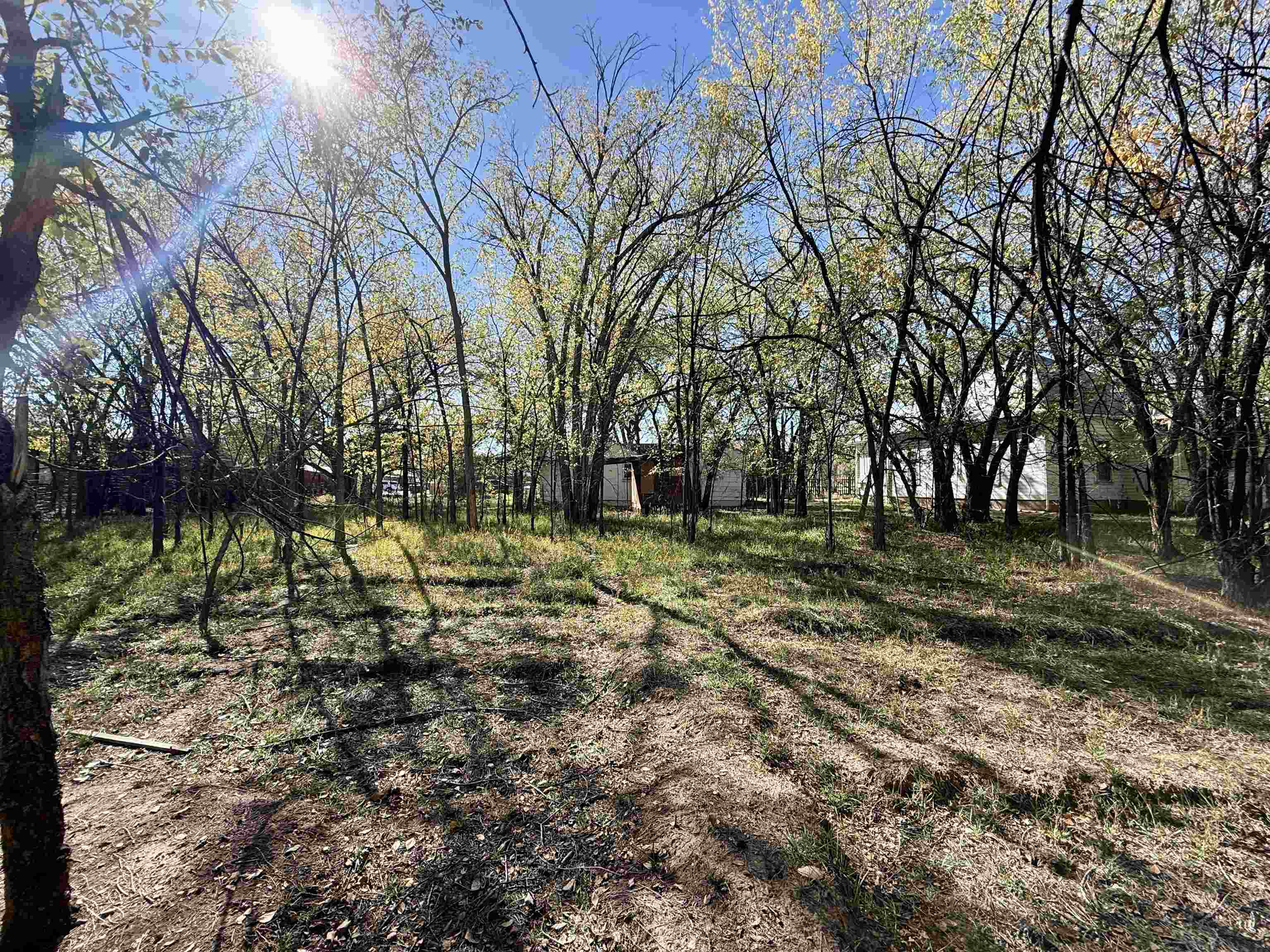 1102 Santa Clara Avenue Property Photo 6