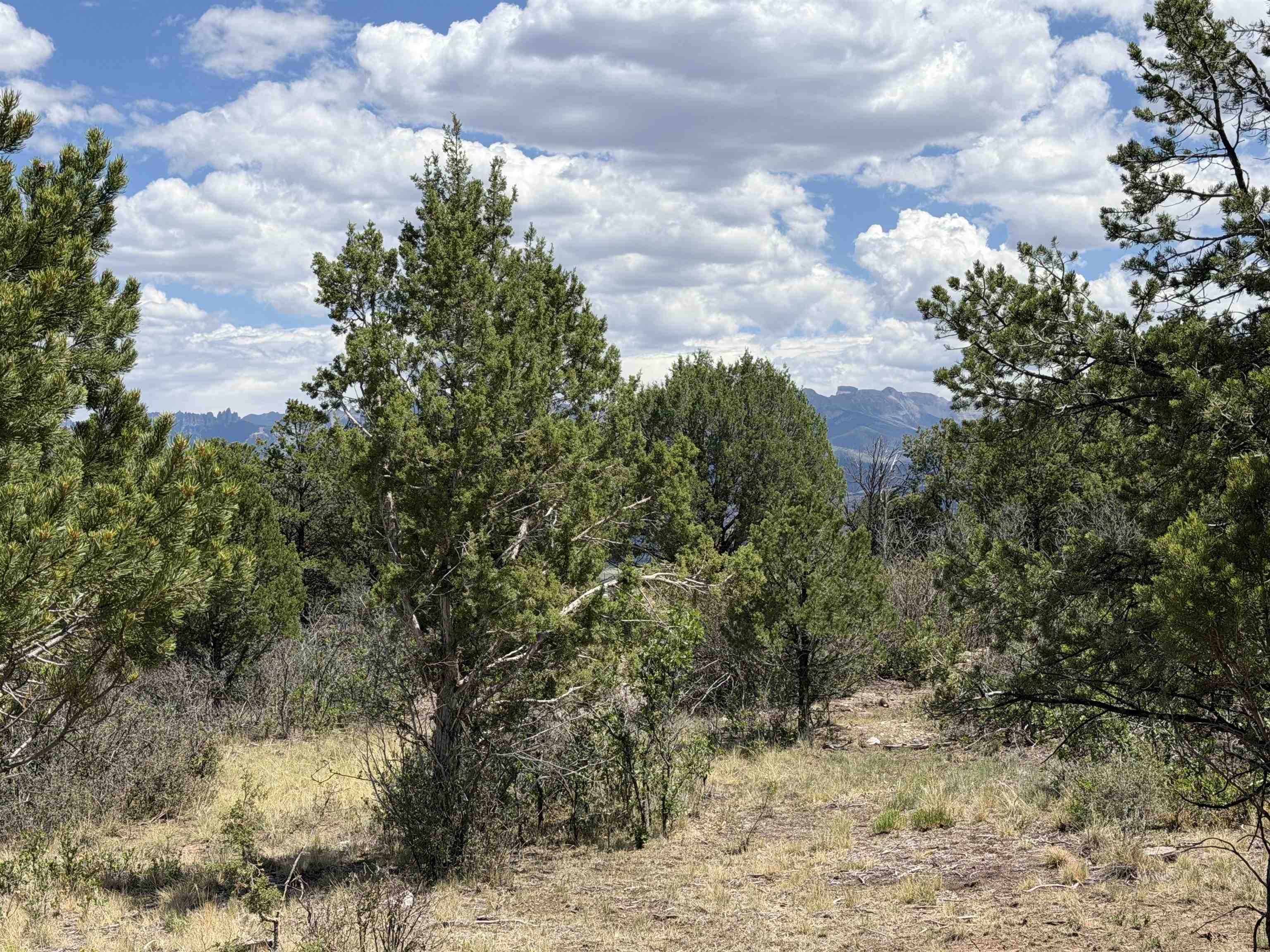 Tbd Pine Drive Property Photo 2