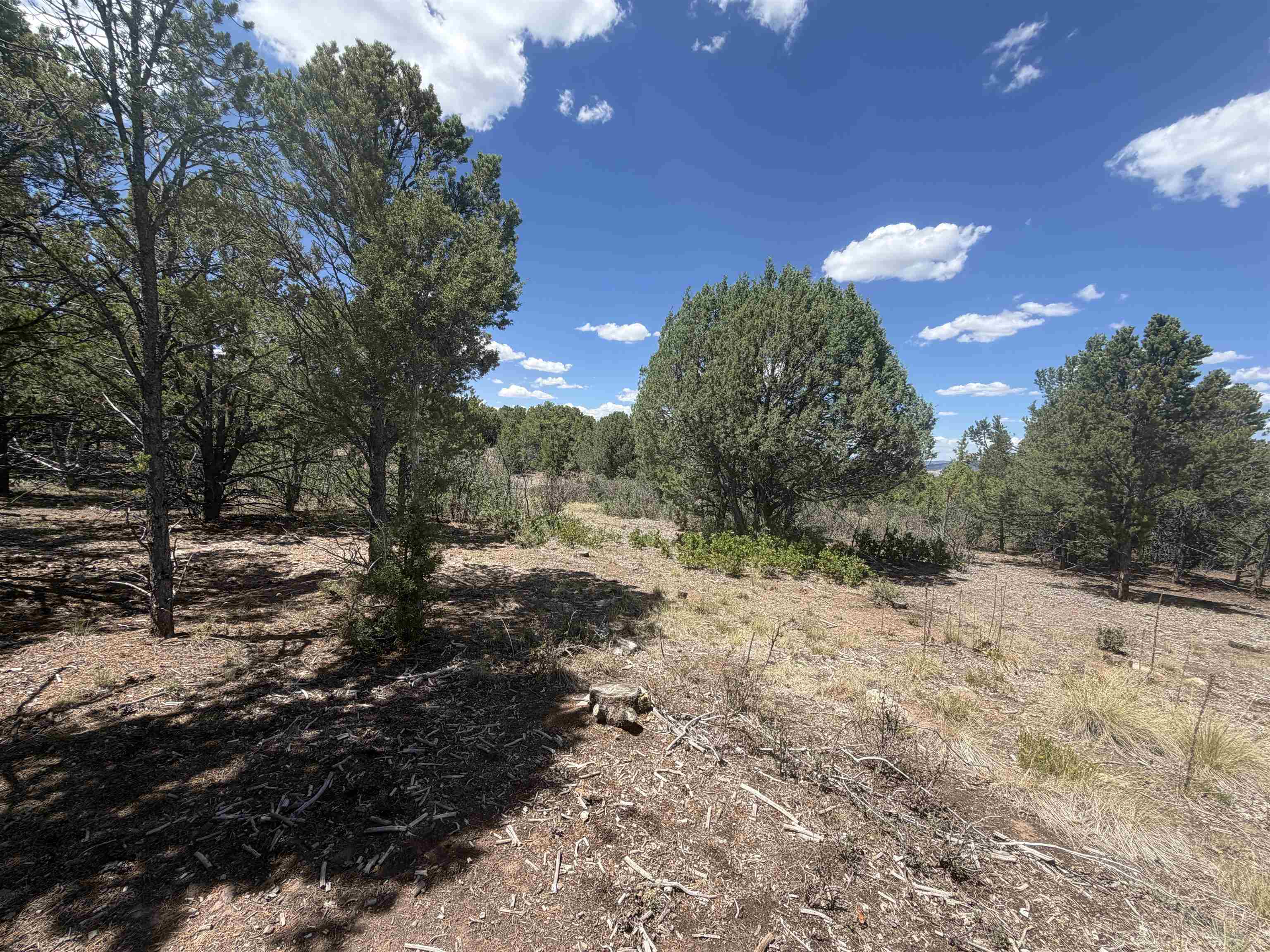 Tbd Pine Drive Property Photo 10