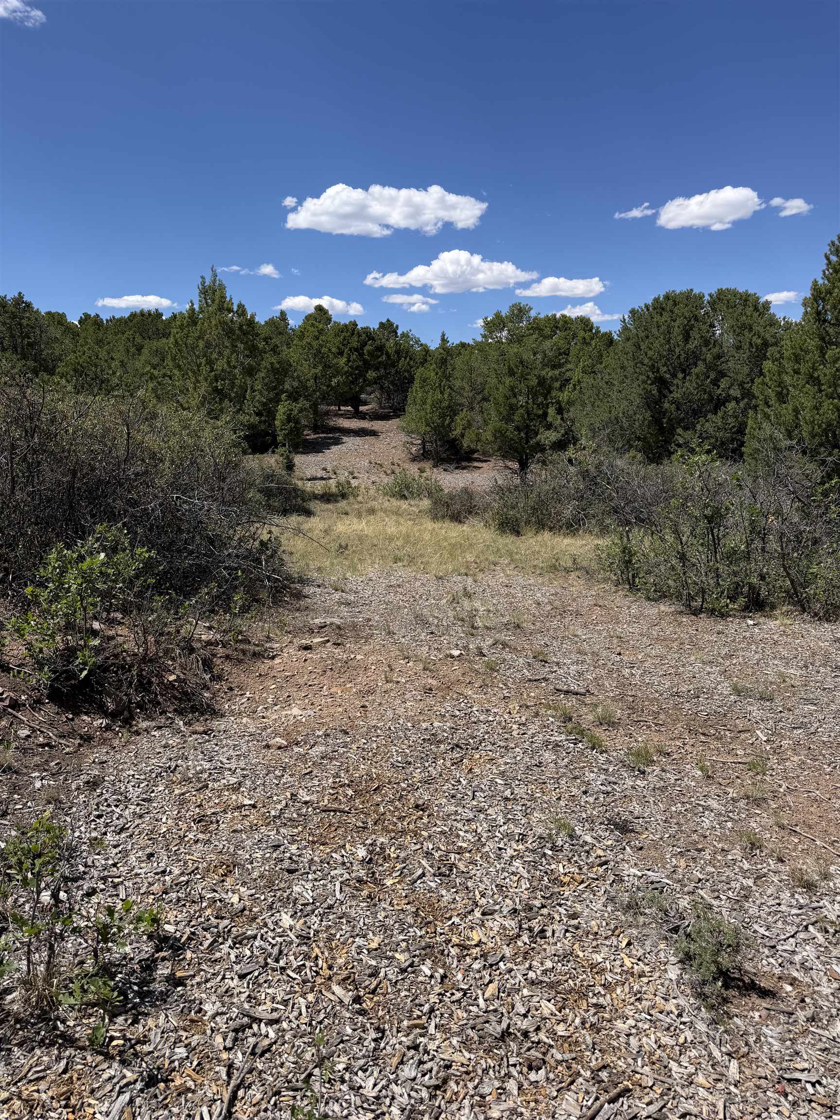 Tbd Pine Drive Property Photo 12