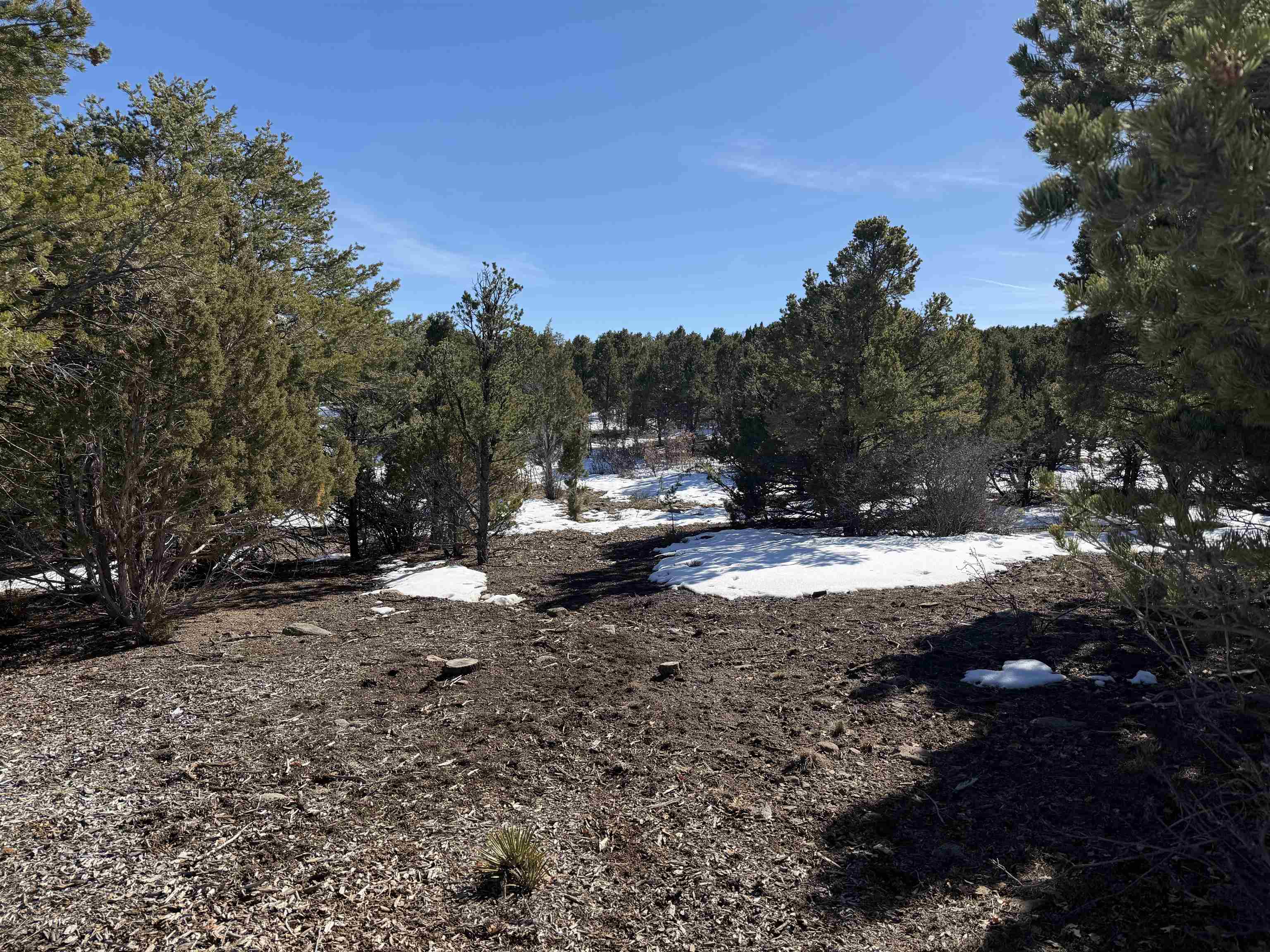 Tbd Pine Drive Property Photo 15
