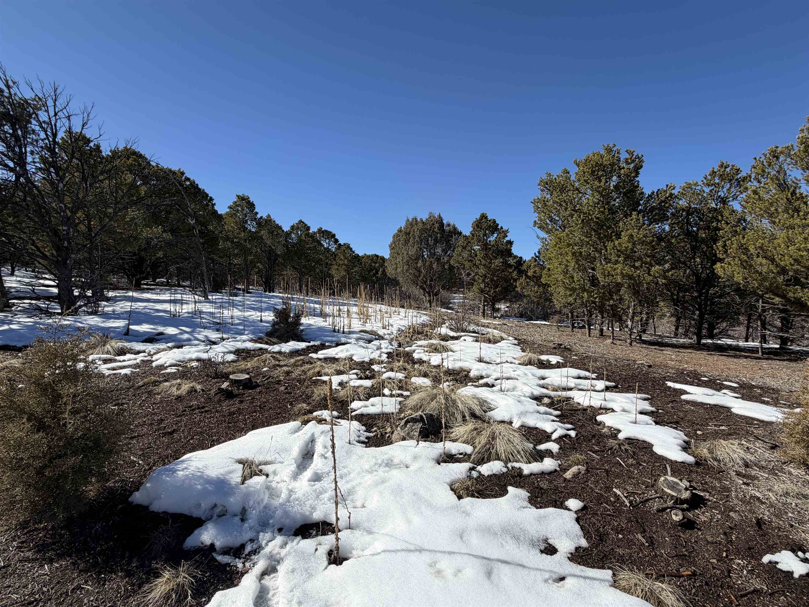 Tbd Pine Drive Property Photo 27