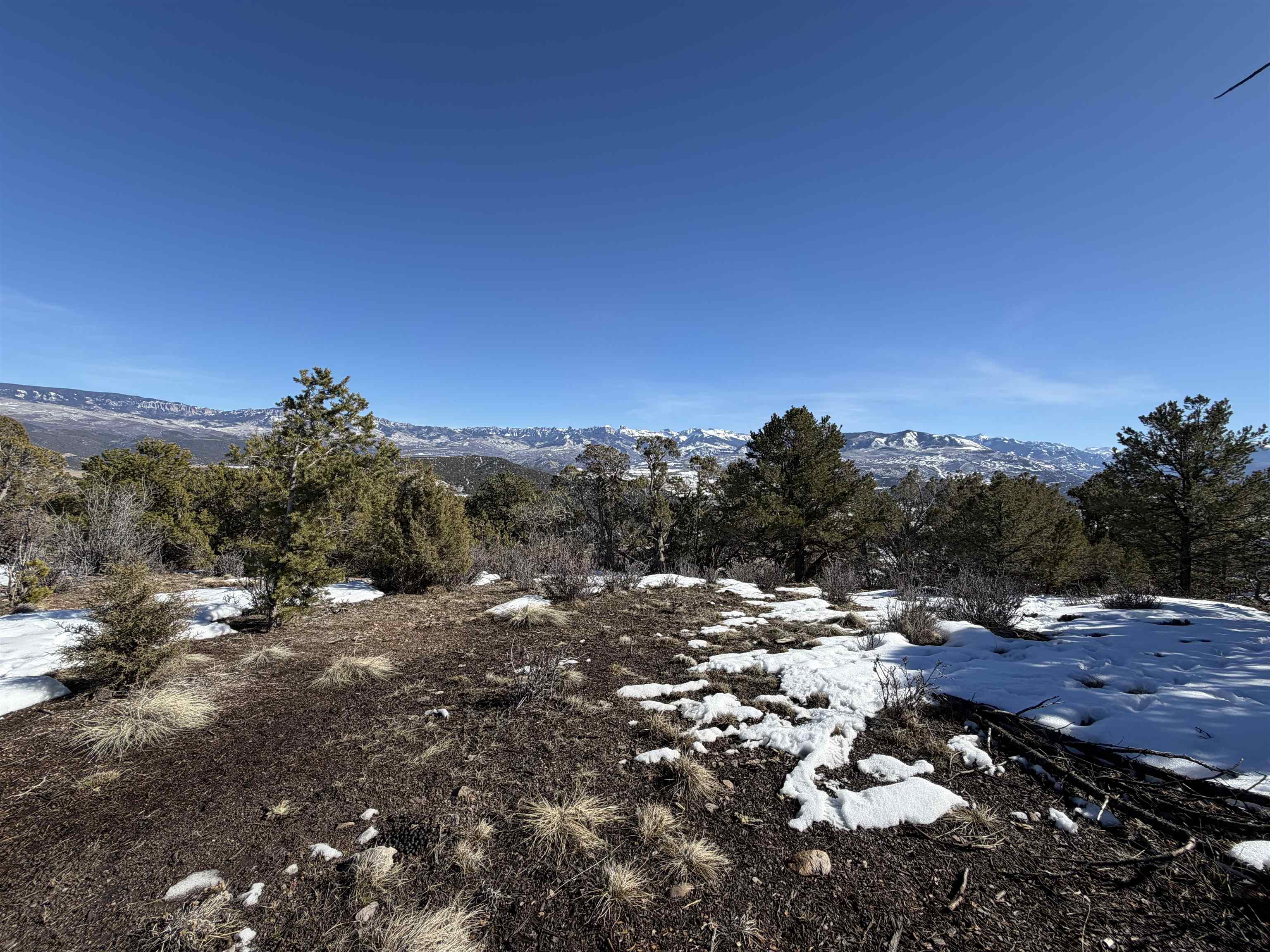 Tbd Pine Drive Property Photo 36