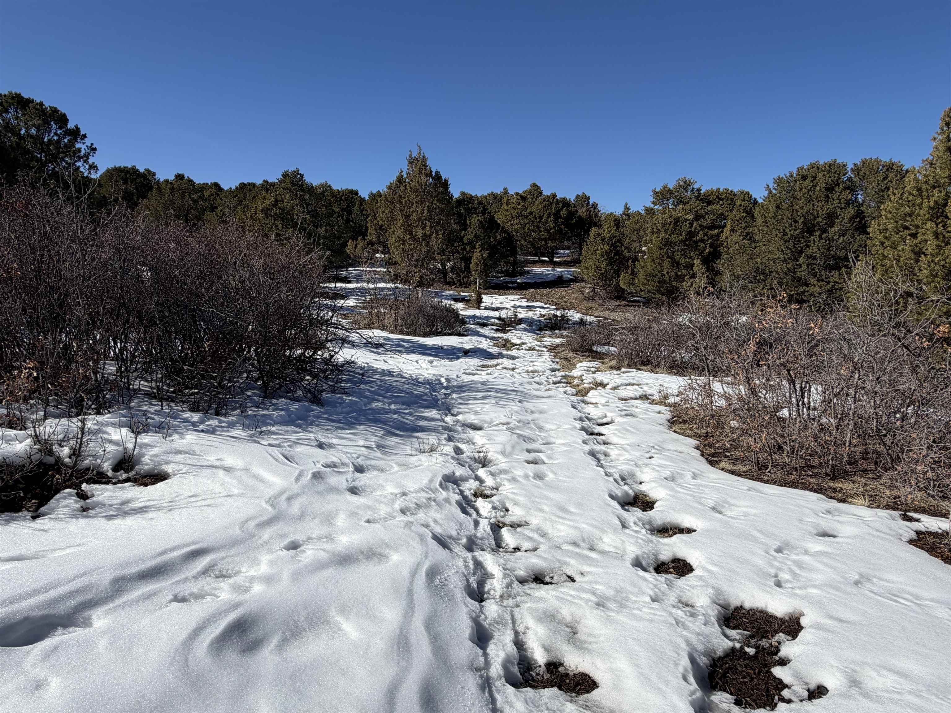 Tbd Pine Drive Property Photo 37