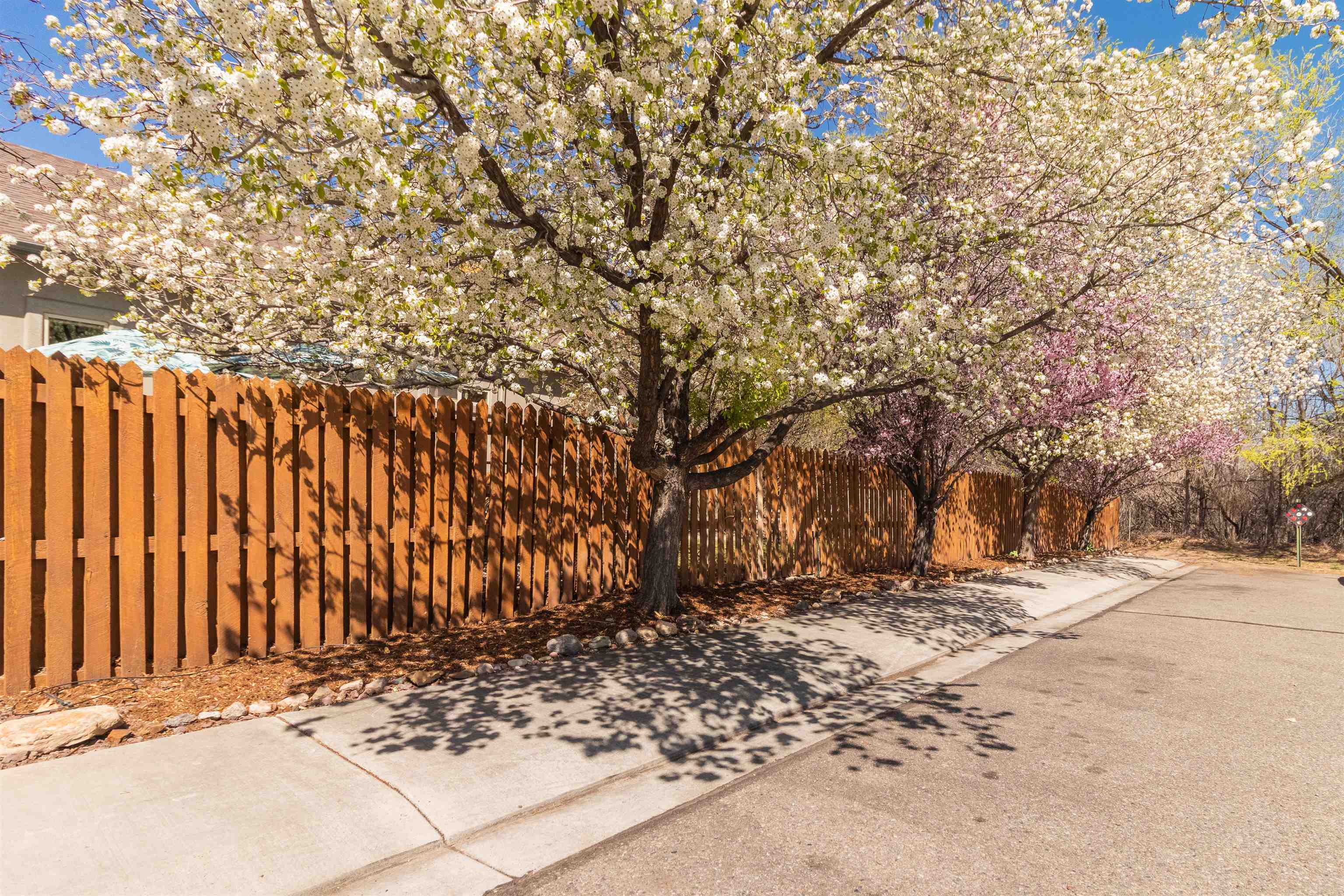 2222 Da Vinci Place Property Photo 25