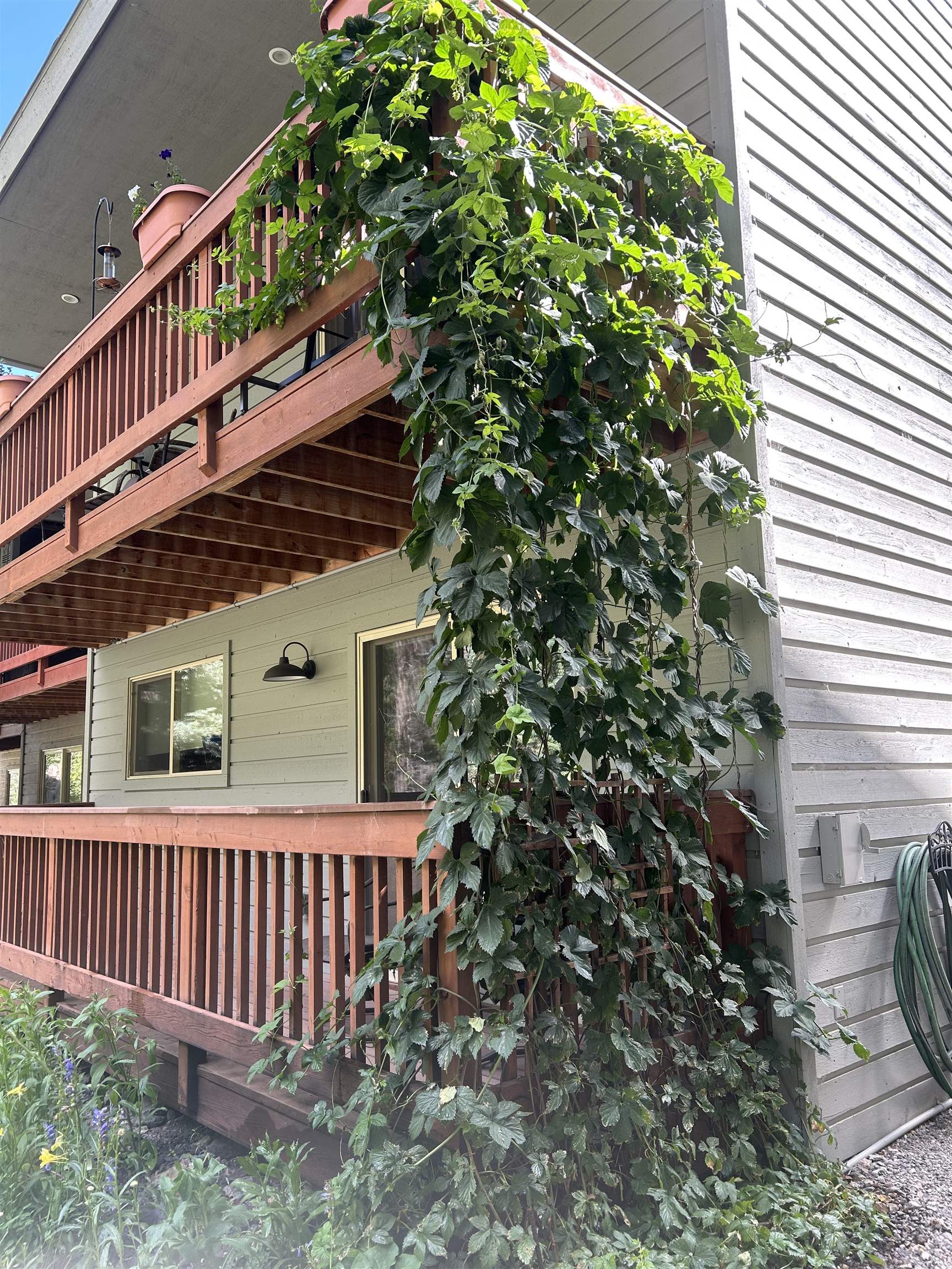 1276 Main Street Property Photo 3