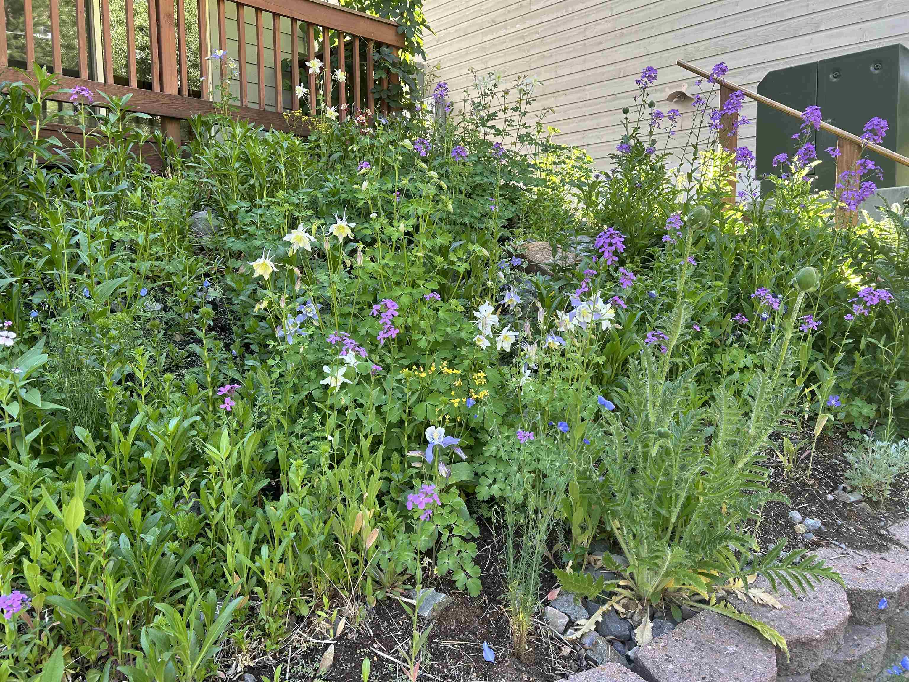 1276 Main Street Property Photo 4