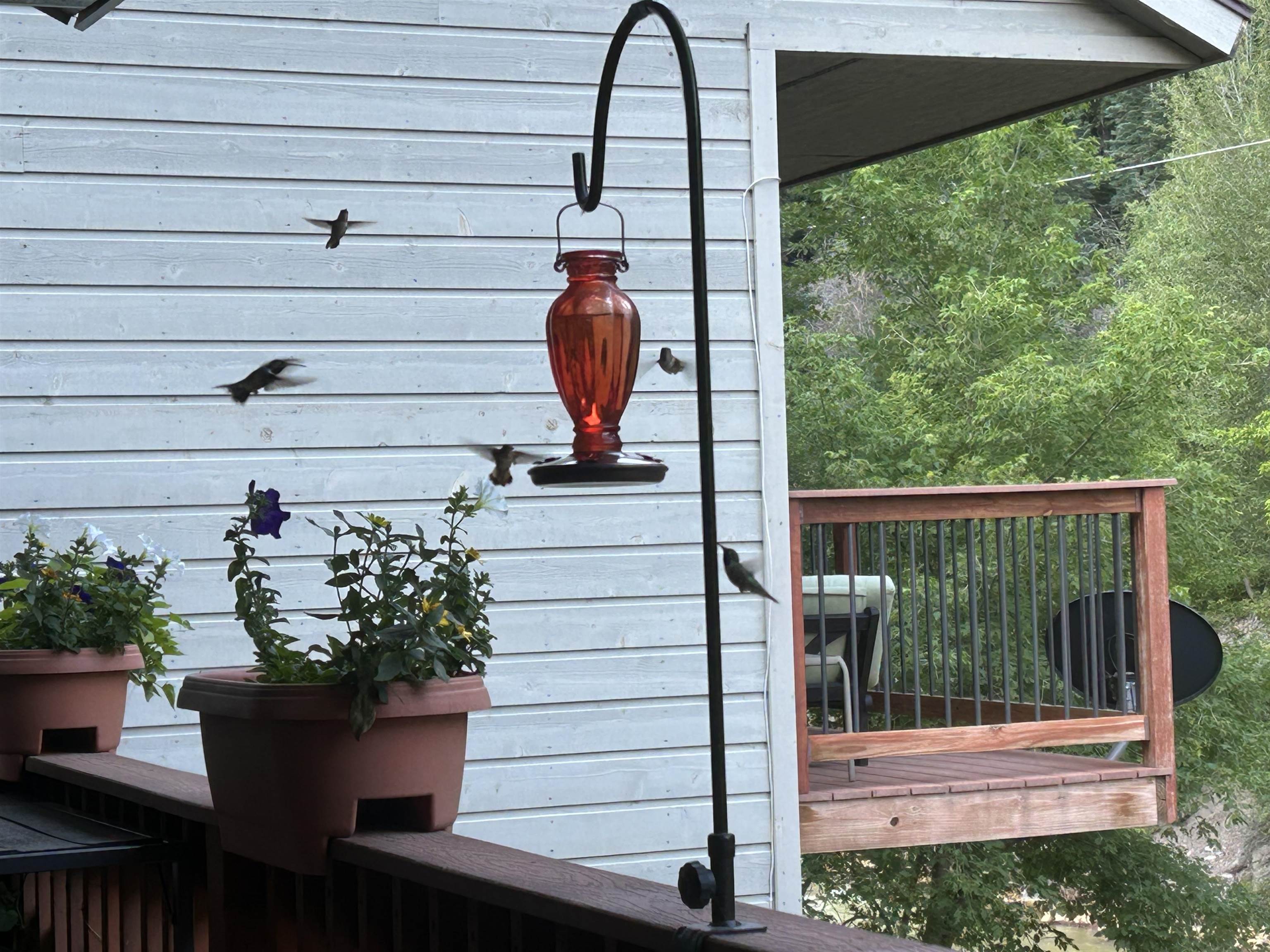 1276 Main Street Property Photo 5