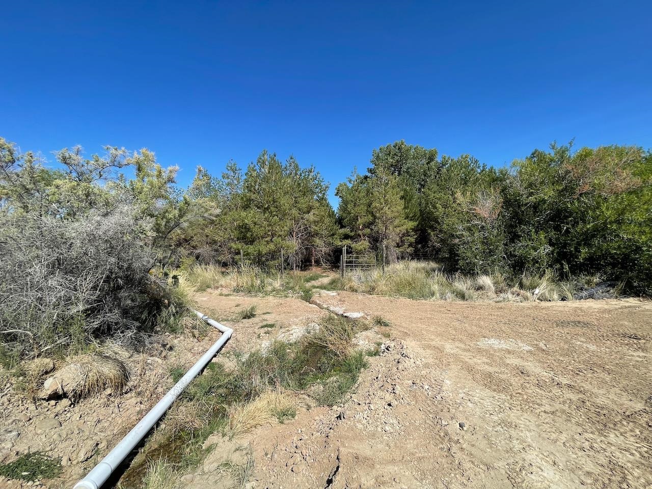 Tbd D Road Property Photo 10