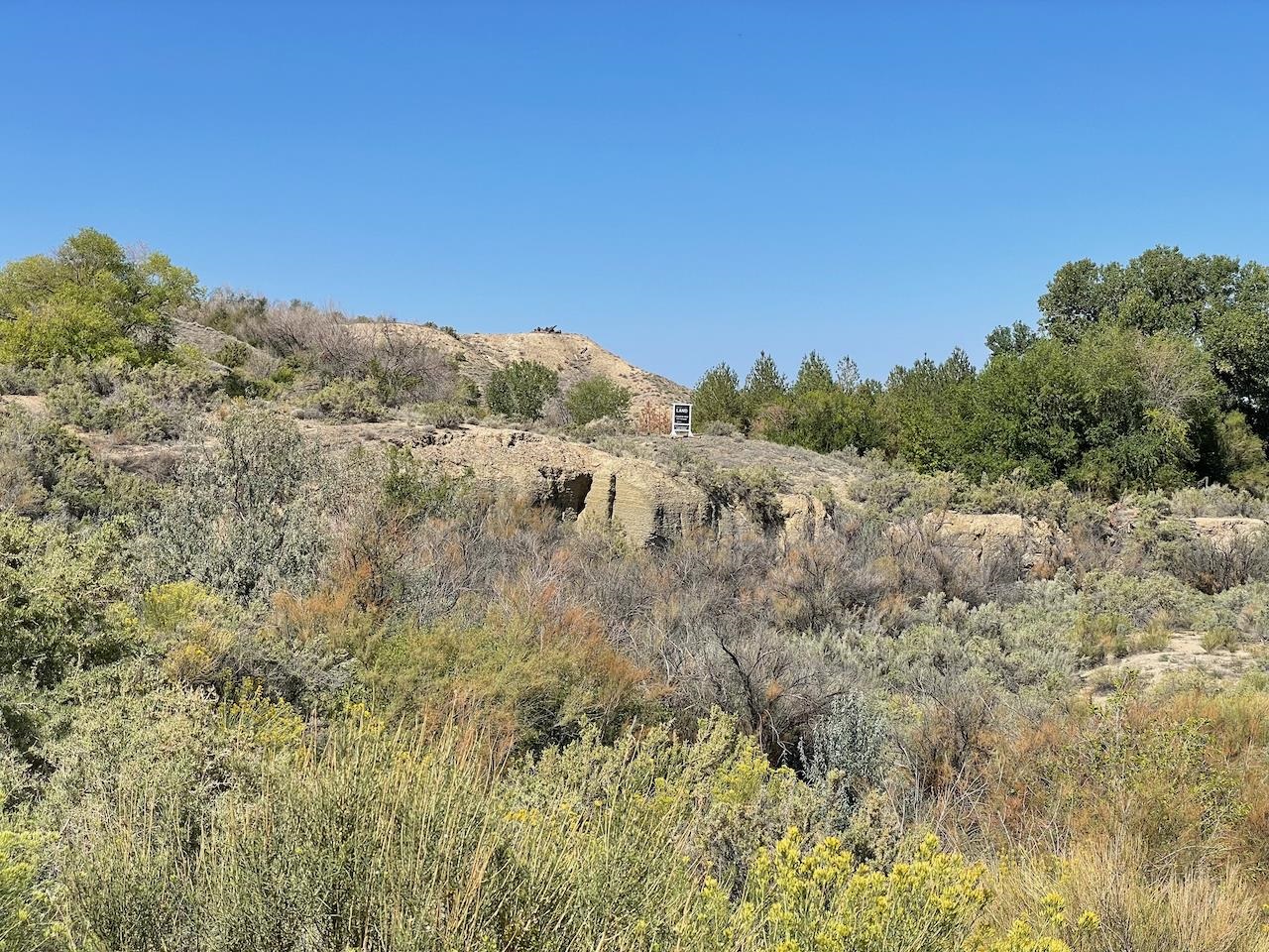 Tbd D Road Property Photo 11