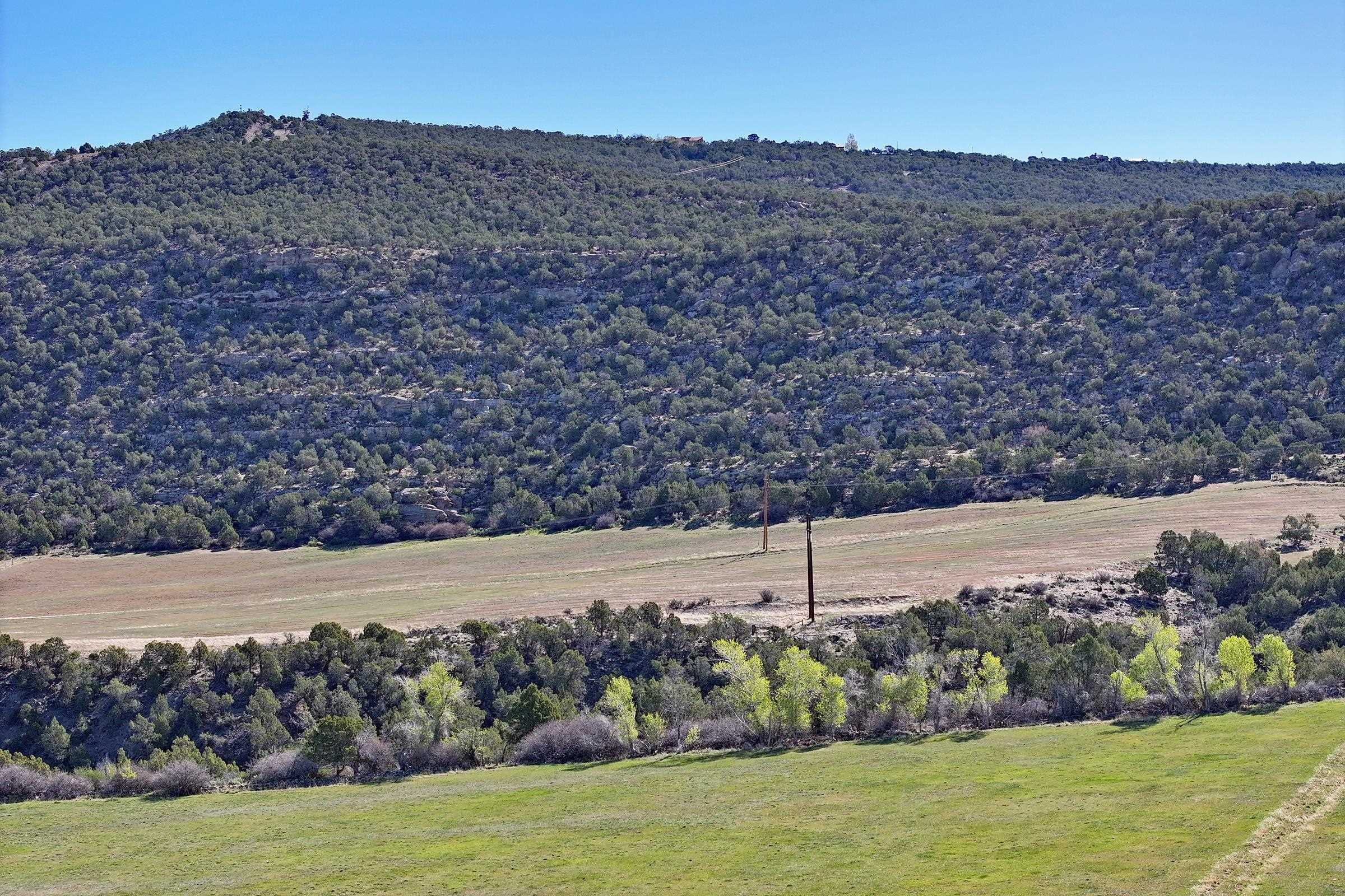 12482 54 7/10 Road Property Photo 11