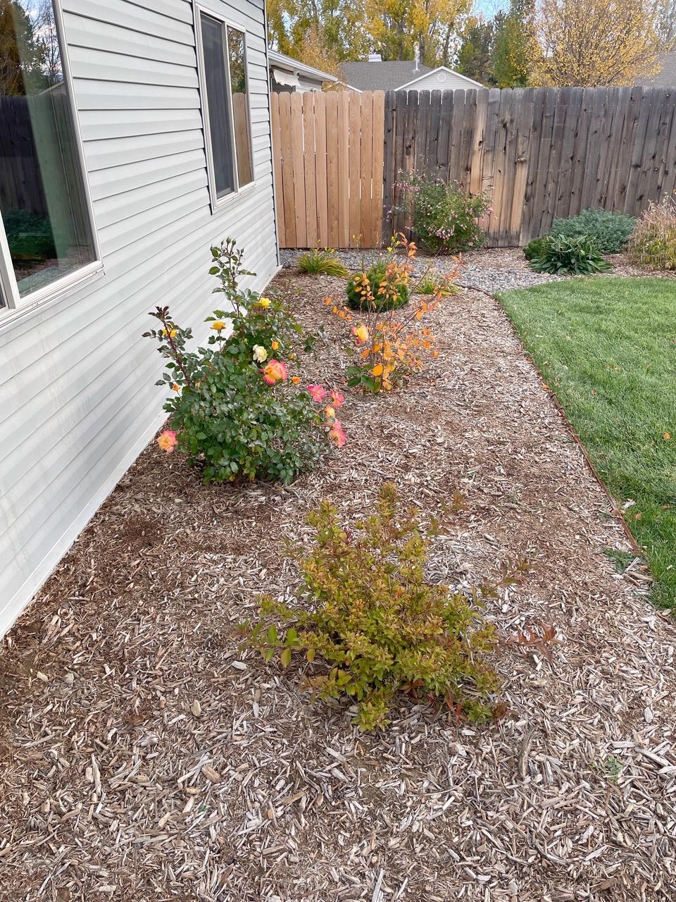 1311 Cement Creek Avenue Property Photo 33