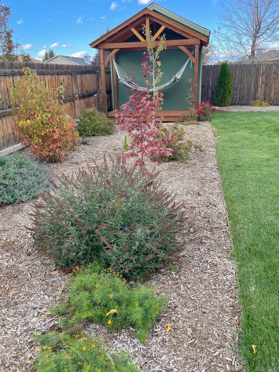 1311 Cement Creek Avenue Property Photo 37