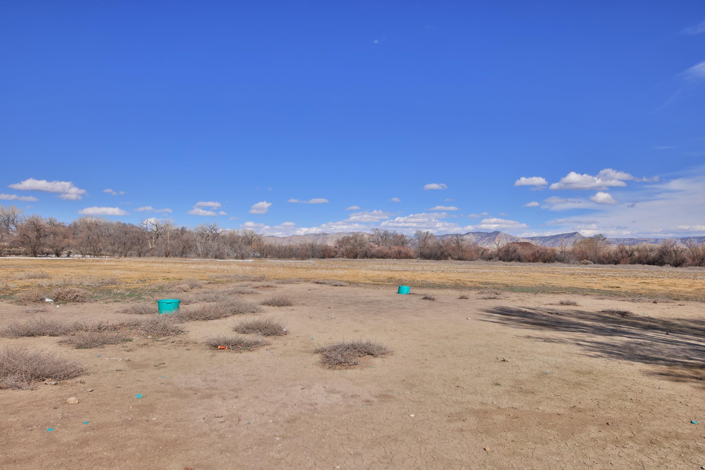 1537 19 Road Property Photo 24