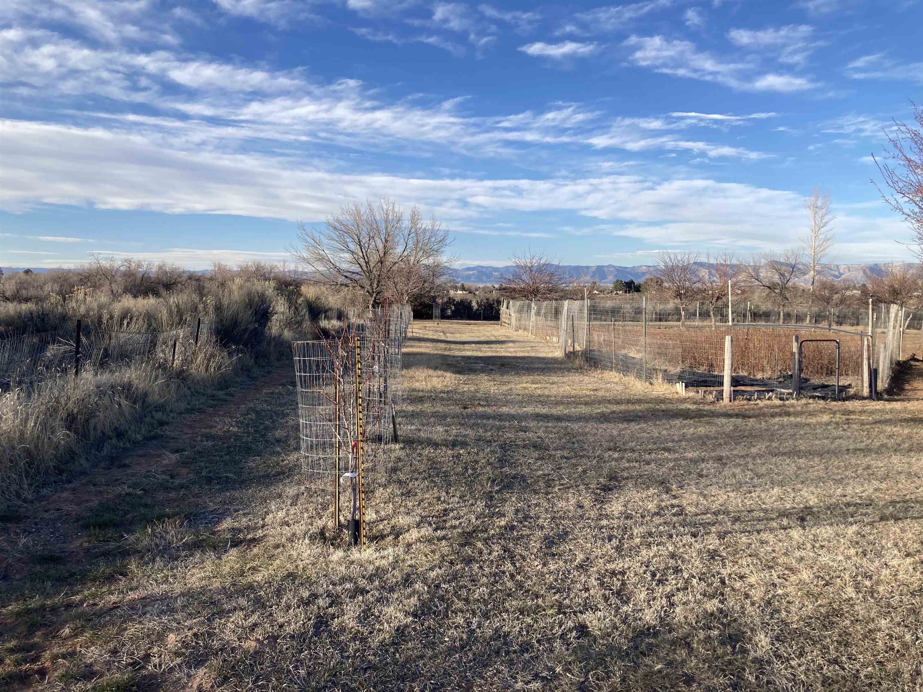2108 Desert Hills Road Property Photo 34