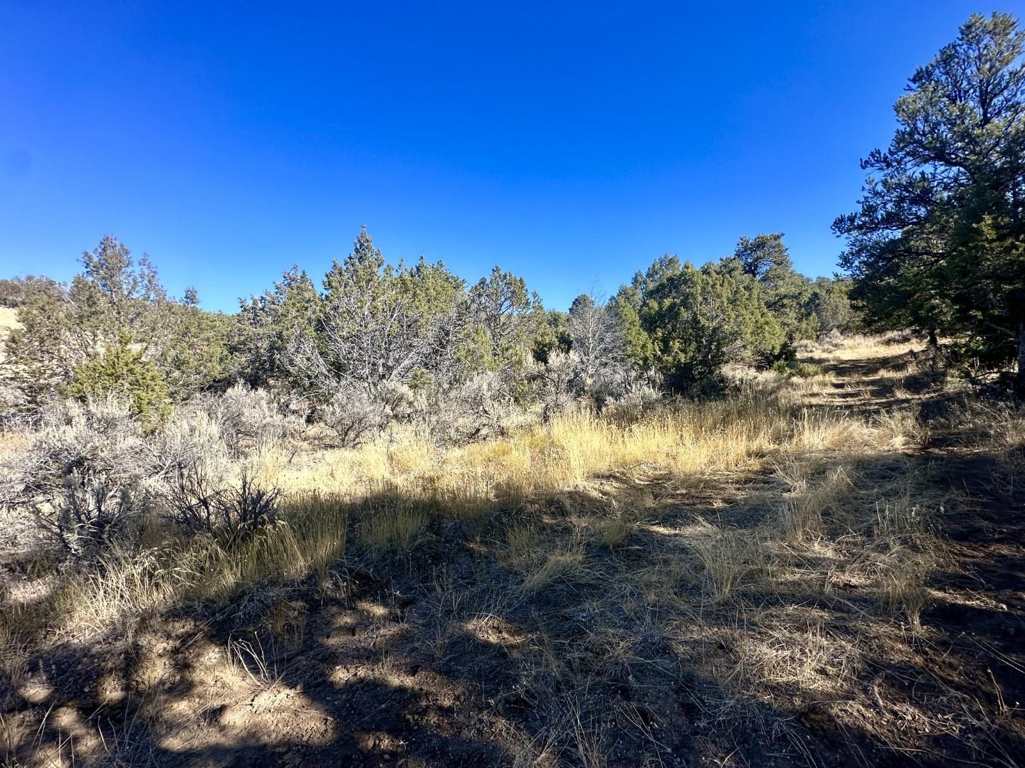 Tbd Cactus Park Road Property Photo 1