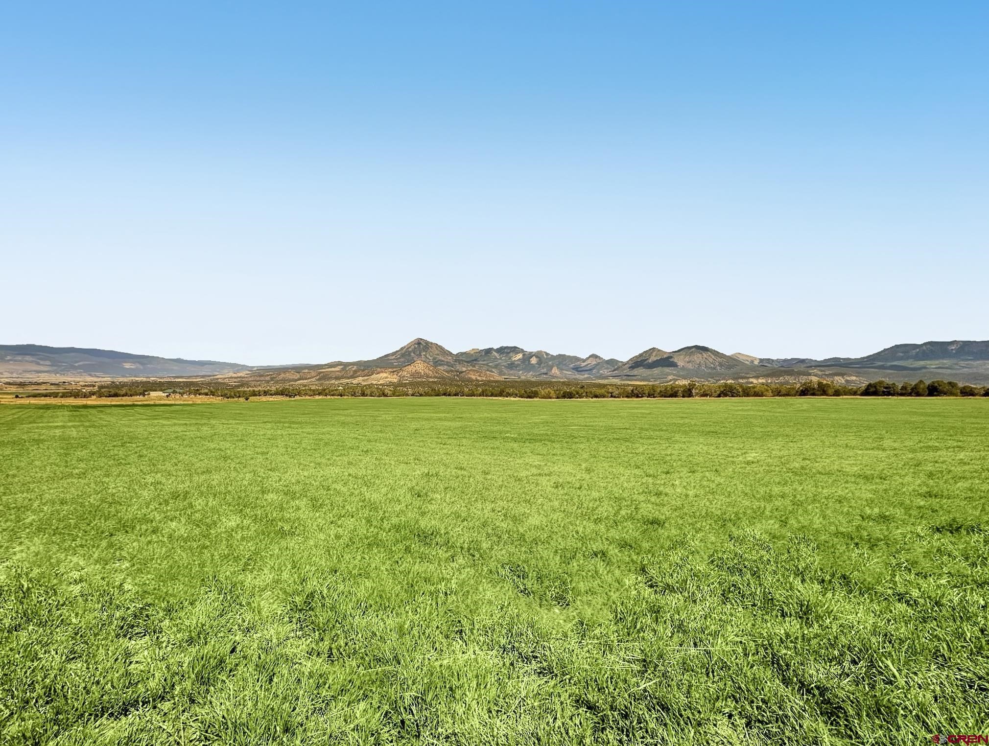 1190 7745 Road Property Photo 41