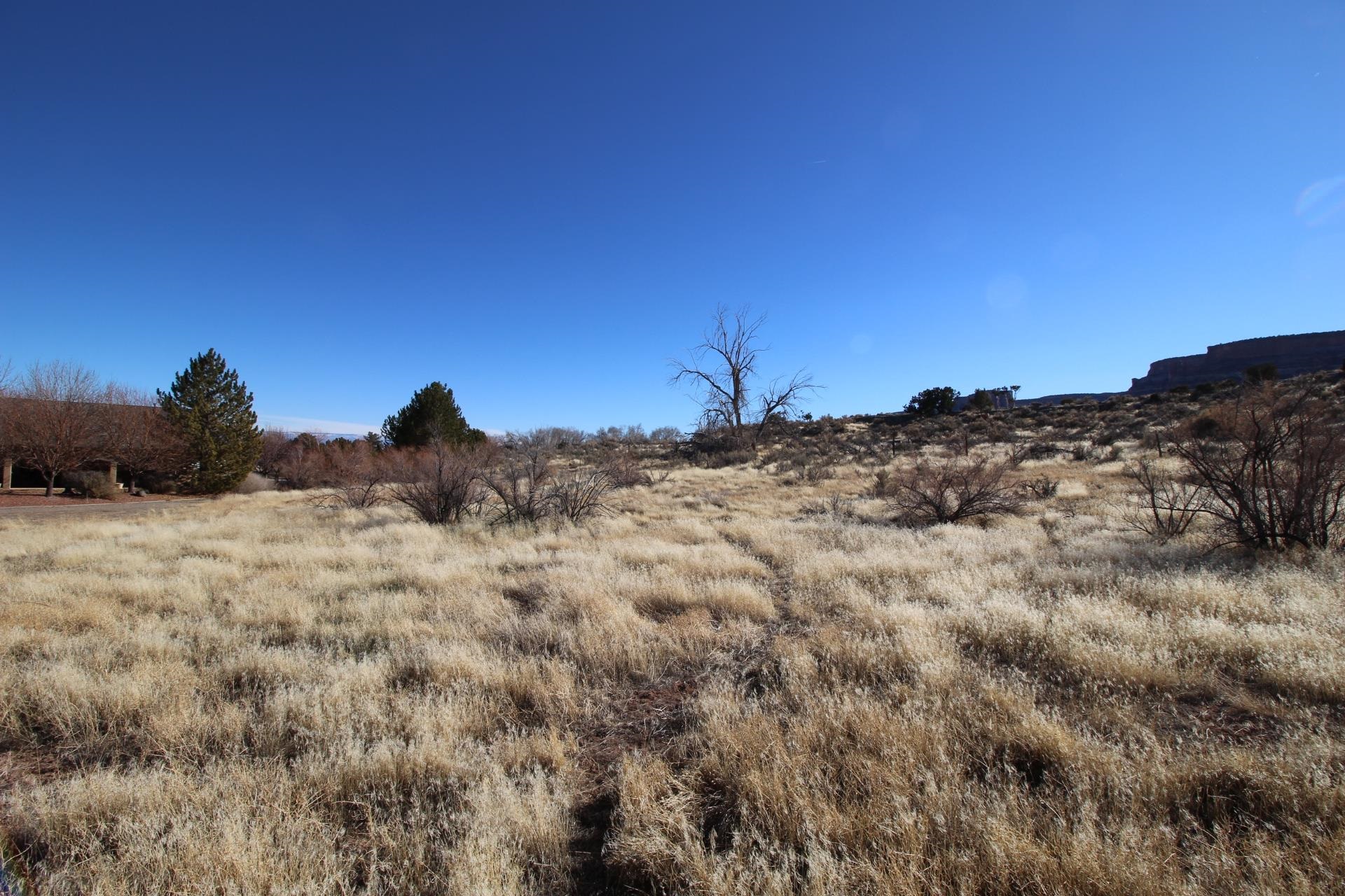 726 Curecanti Circle Property Photo 1