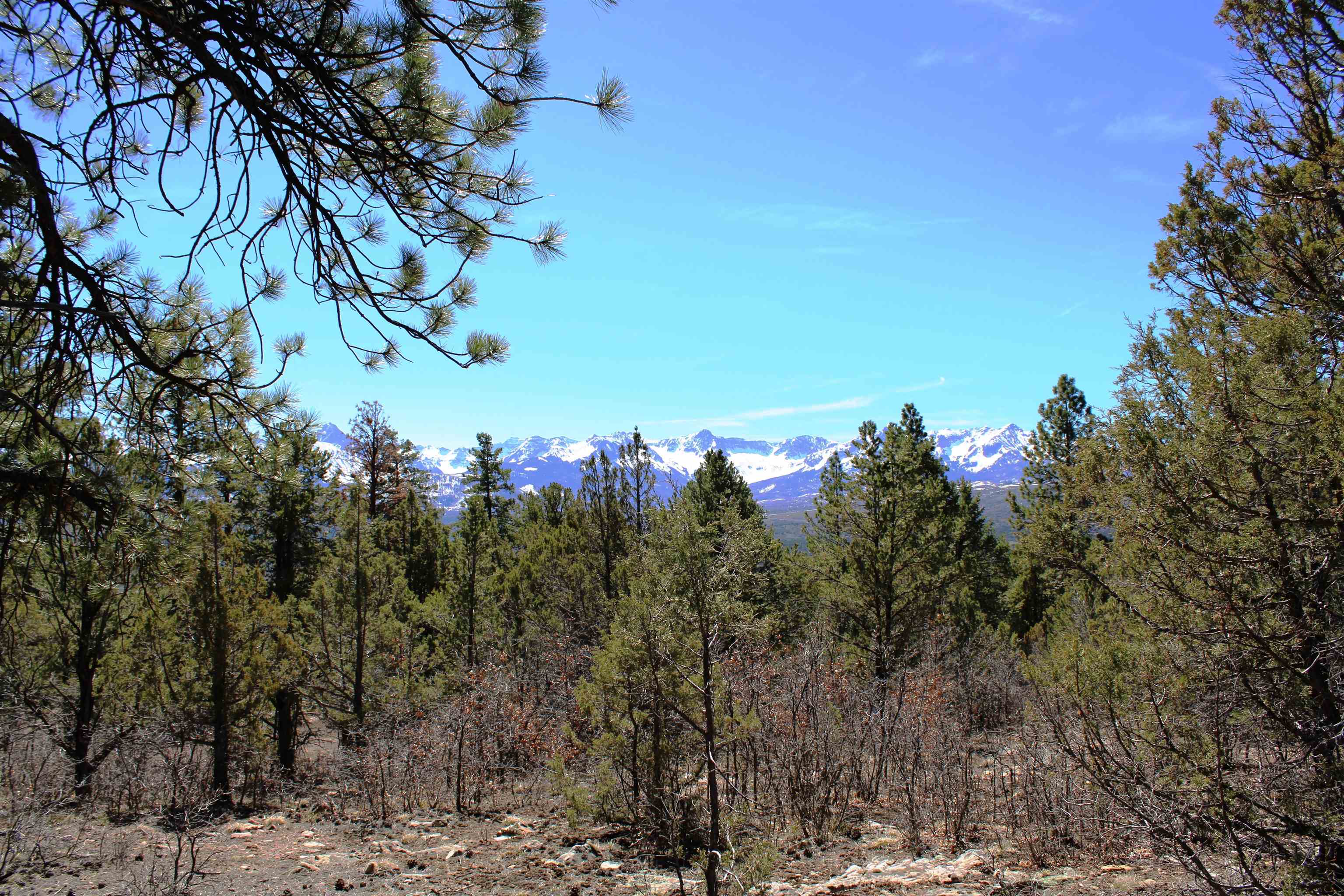 Tbd Old Relay Road Property Photo 10