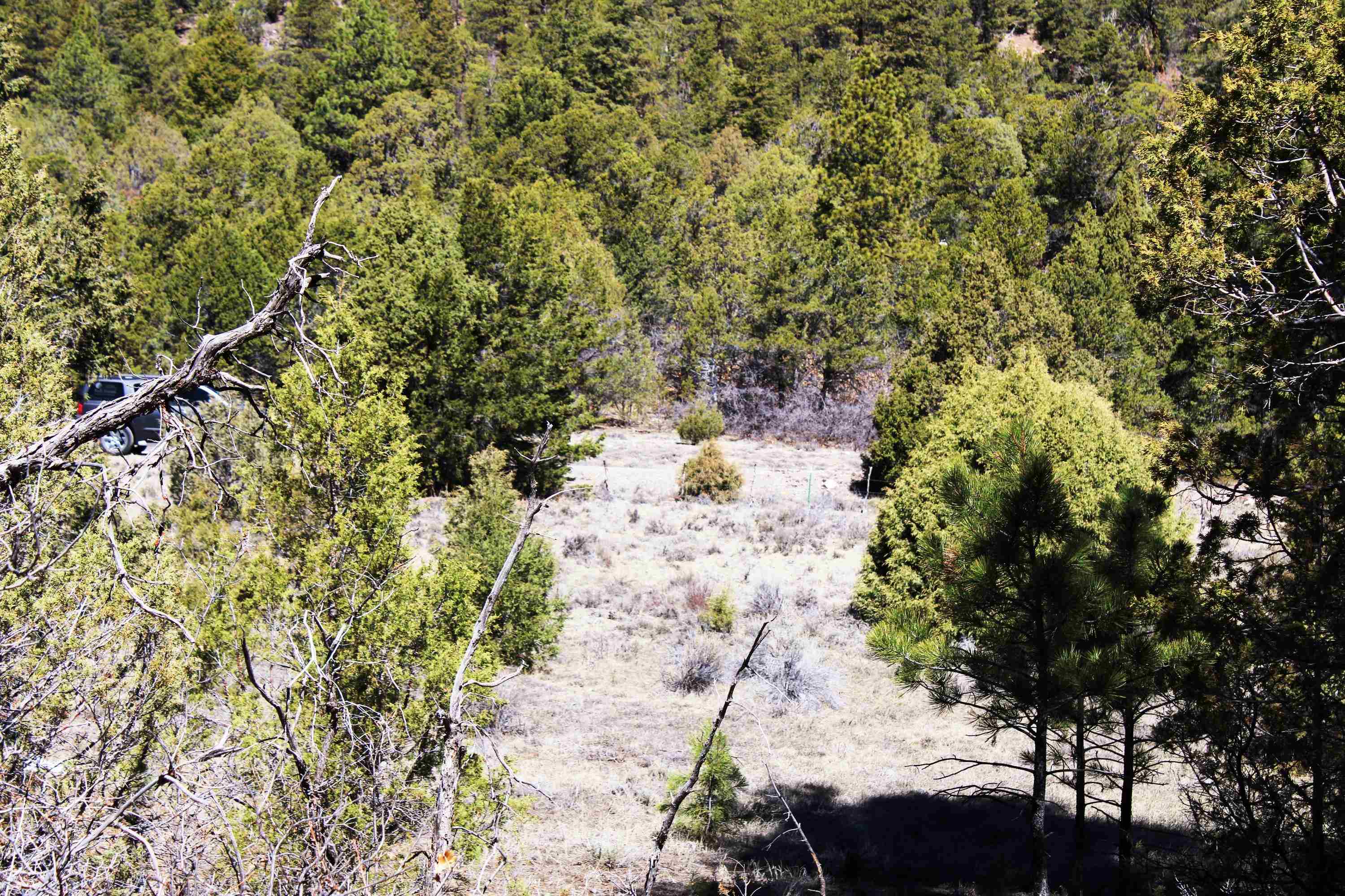 Tbd Old Relay Road Property Photo 11