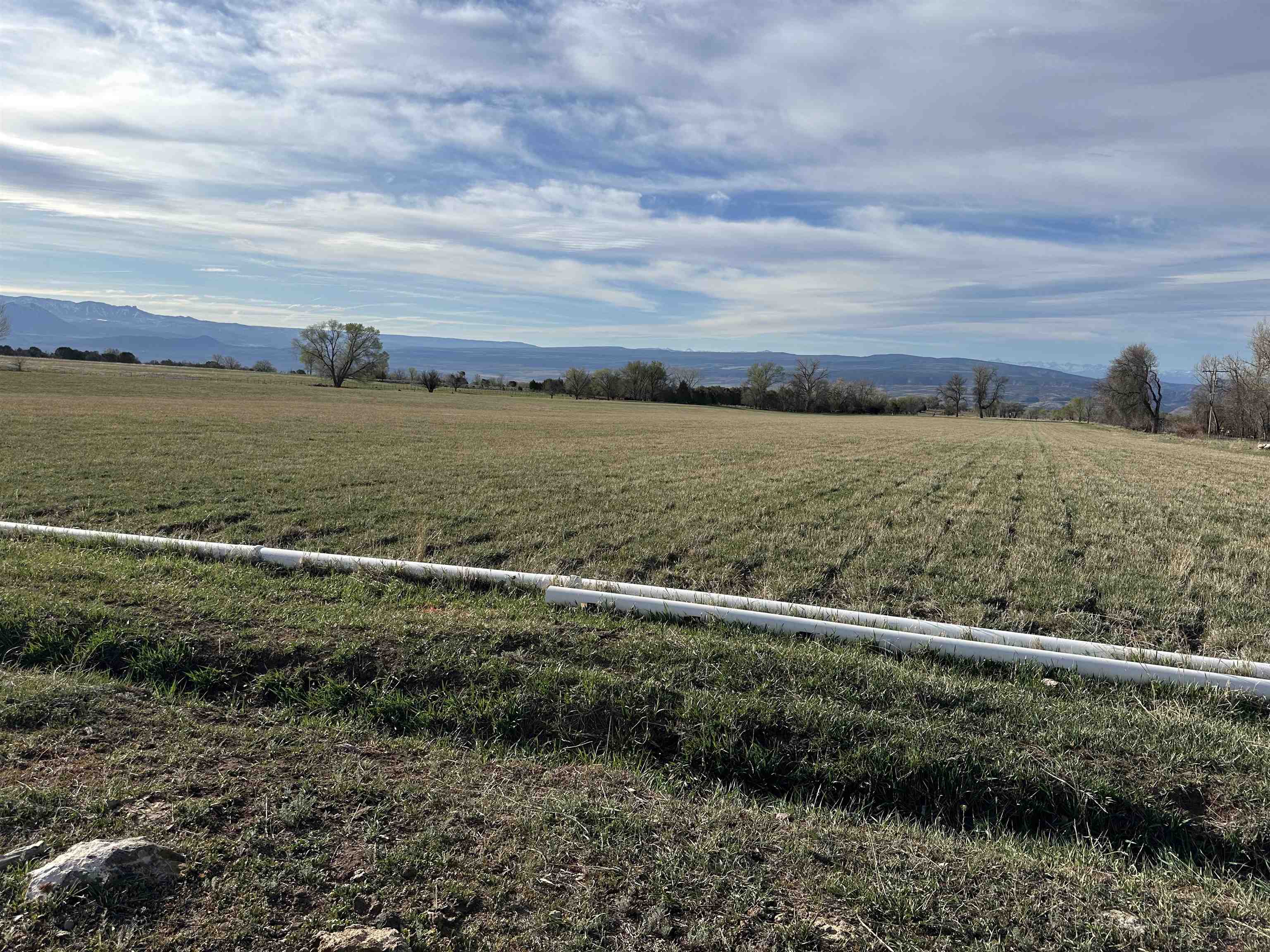 Tbd 2900 Road Property Photo 4
