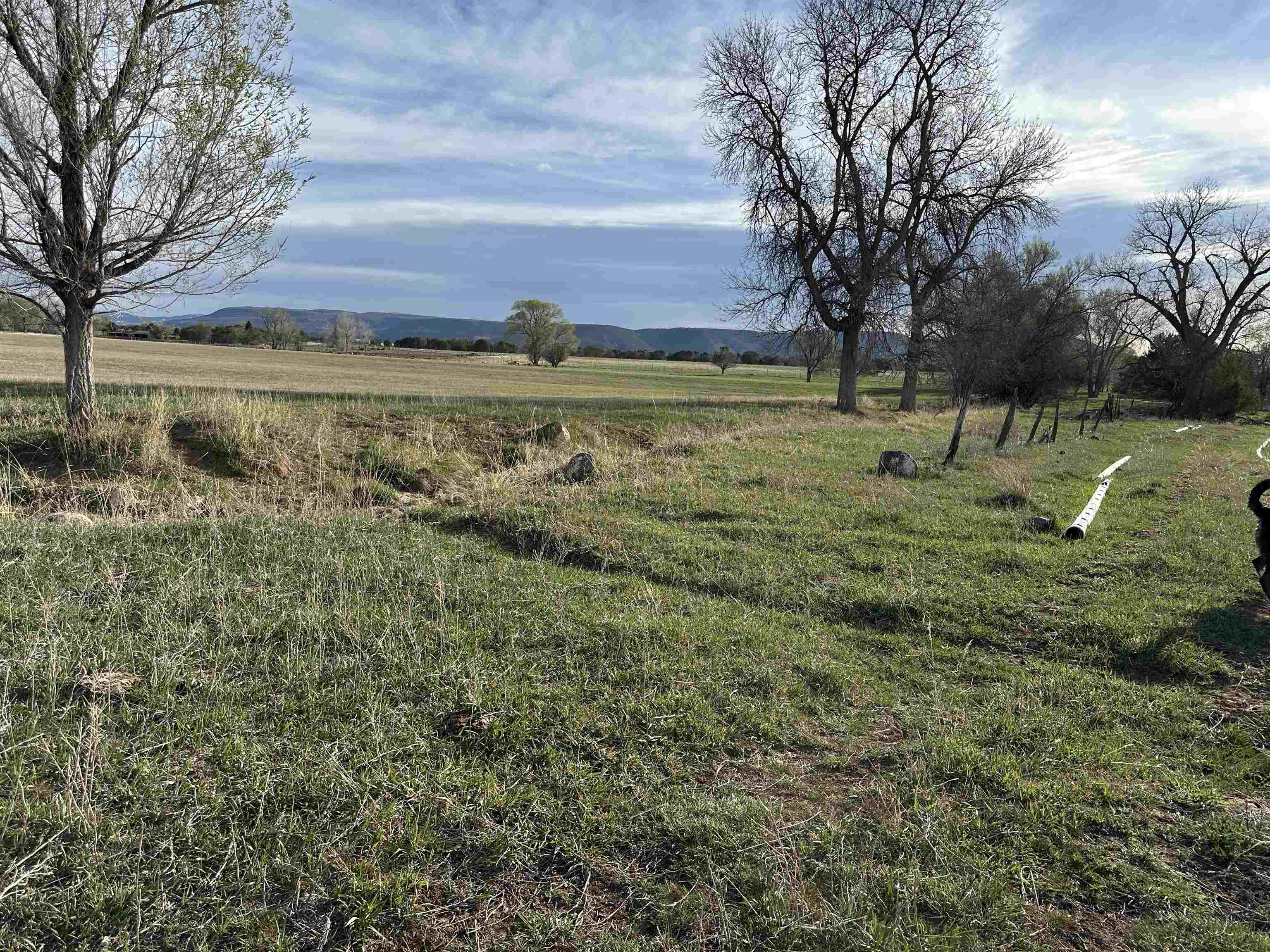 Tbd 2900 Road Property Photo 6