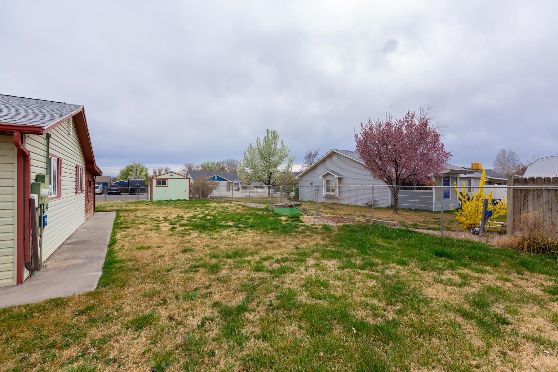 481 31 1/4 Road Property Photo 38