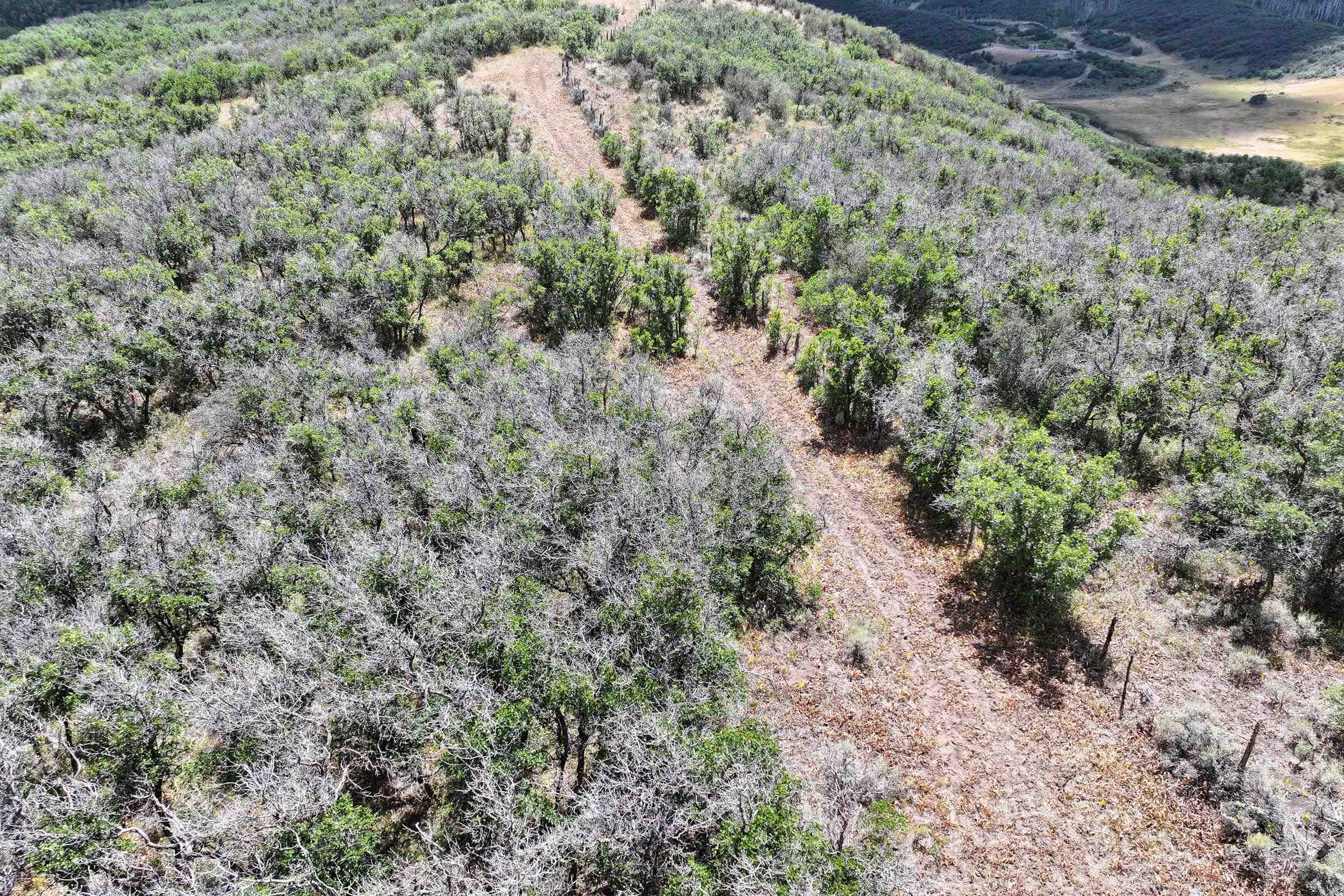 Tbd Tbd Property Photo 14