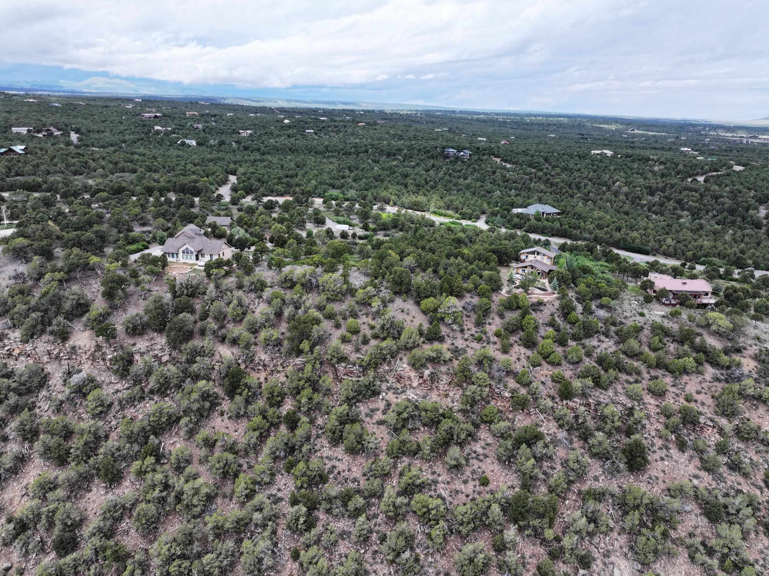 Tbd Pine Drive Property Photo 15