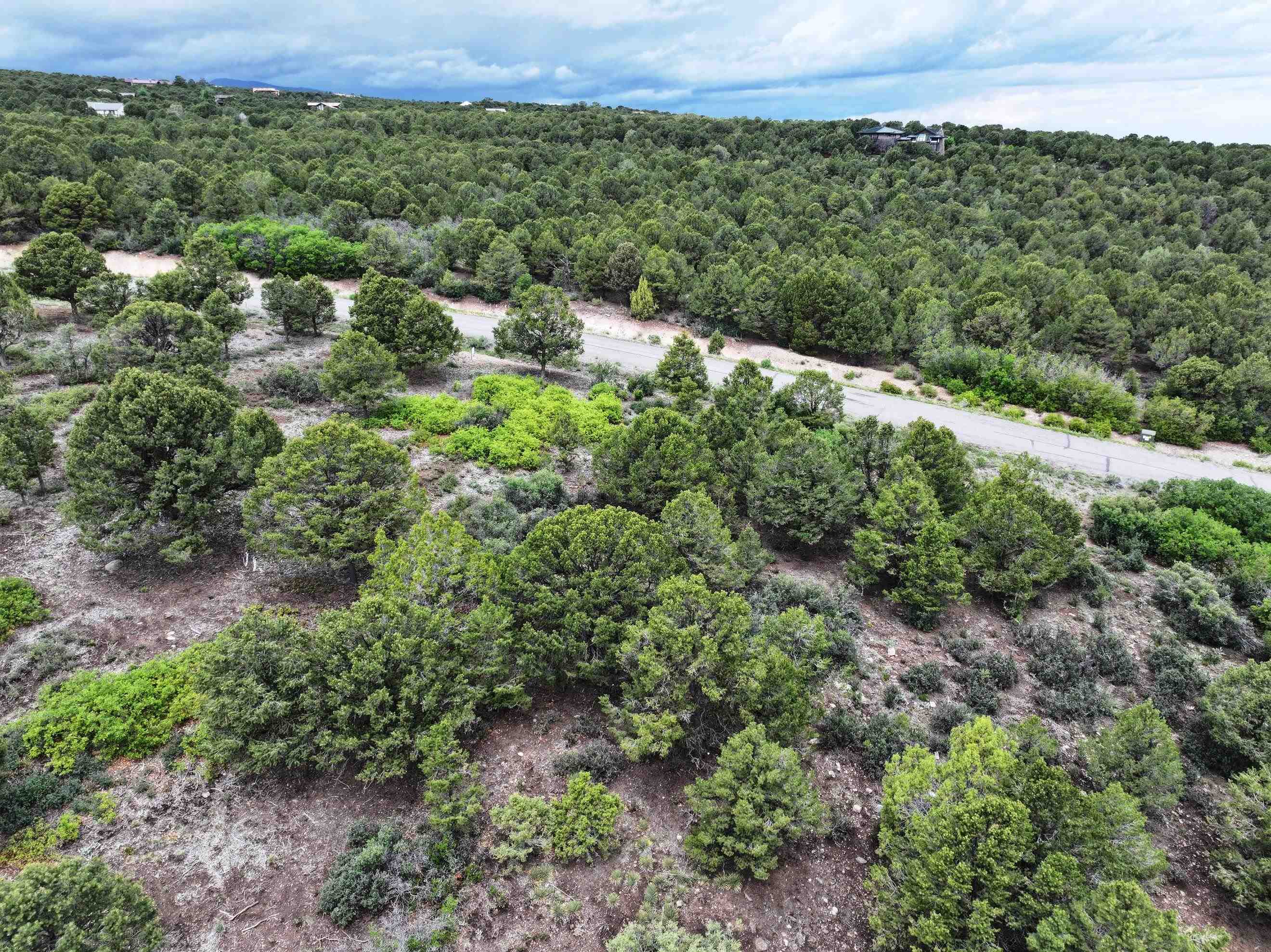 Tbd Pine Drive Property Photo 20