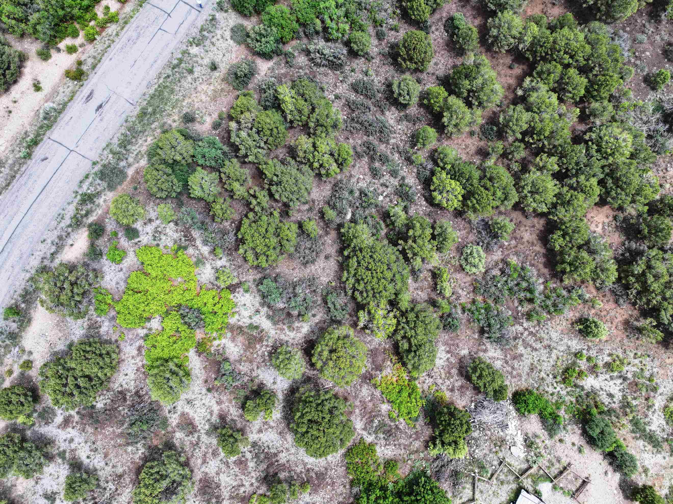 Tbd Pine Drive Property Photo 21