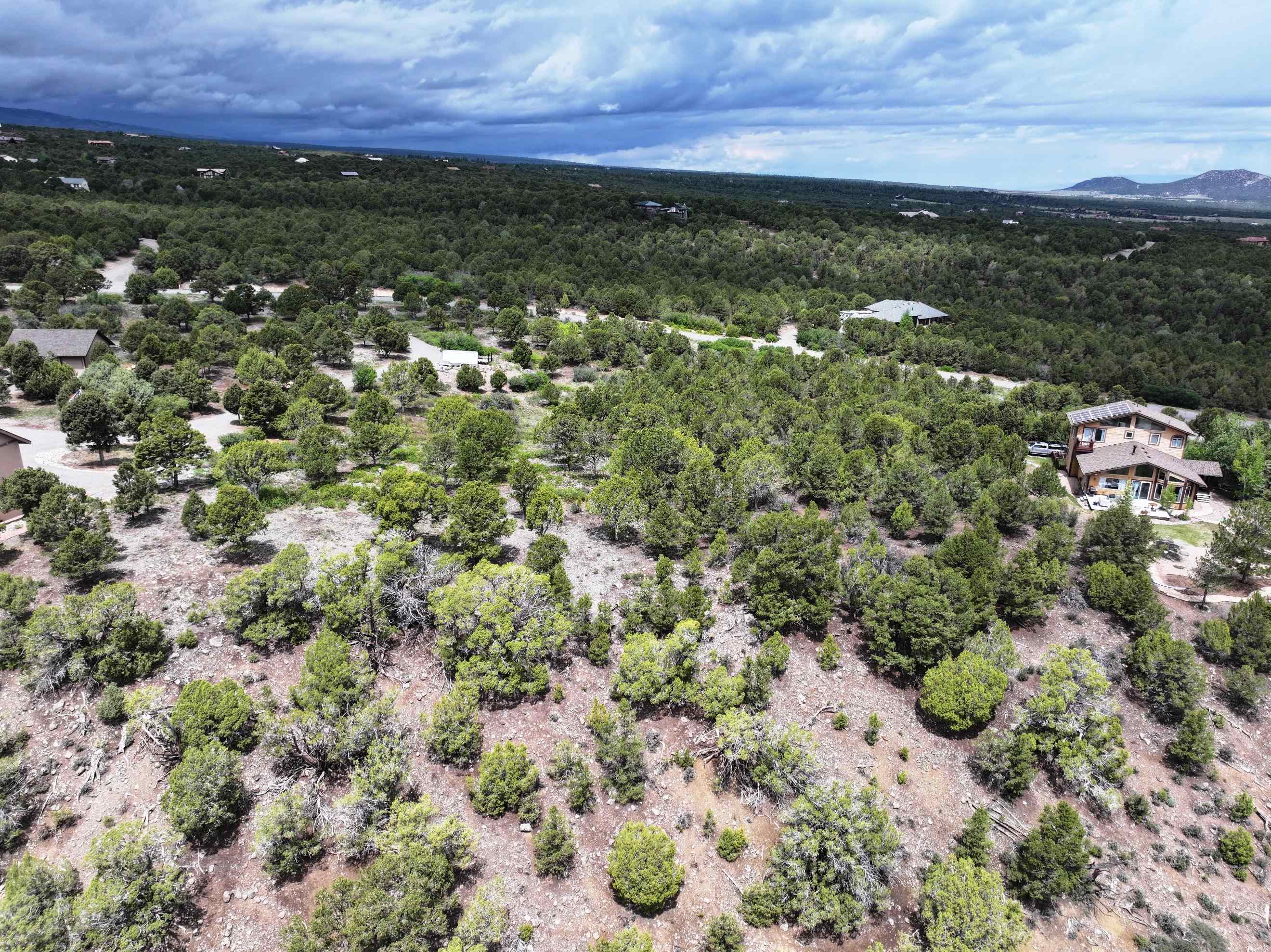 Tbd Pine Drive Property Photo 22